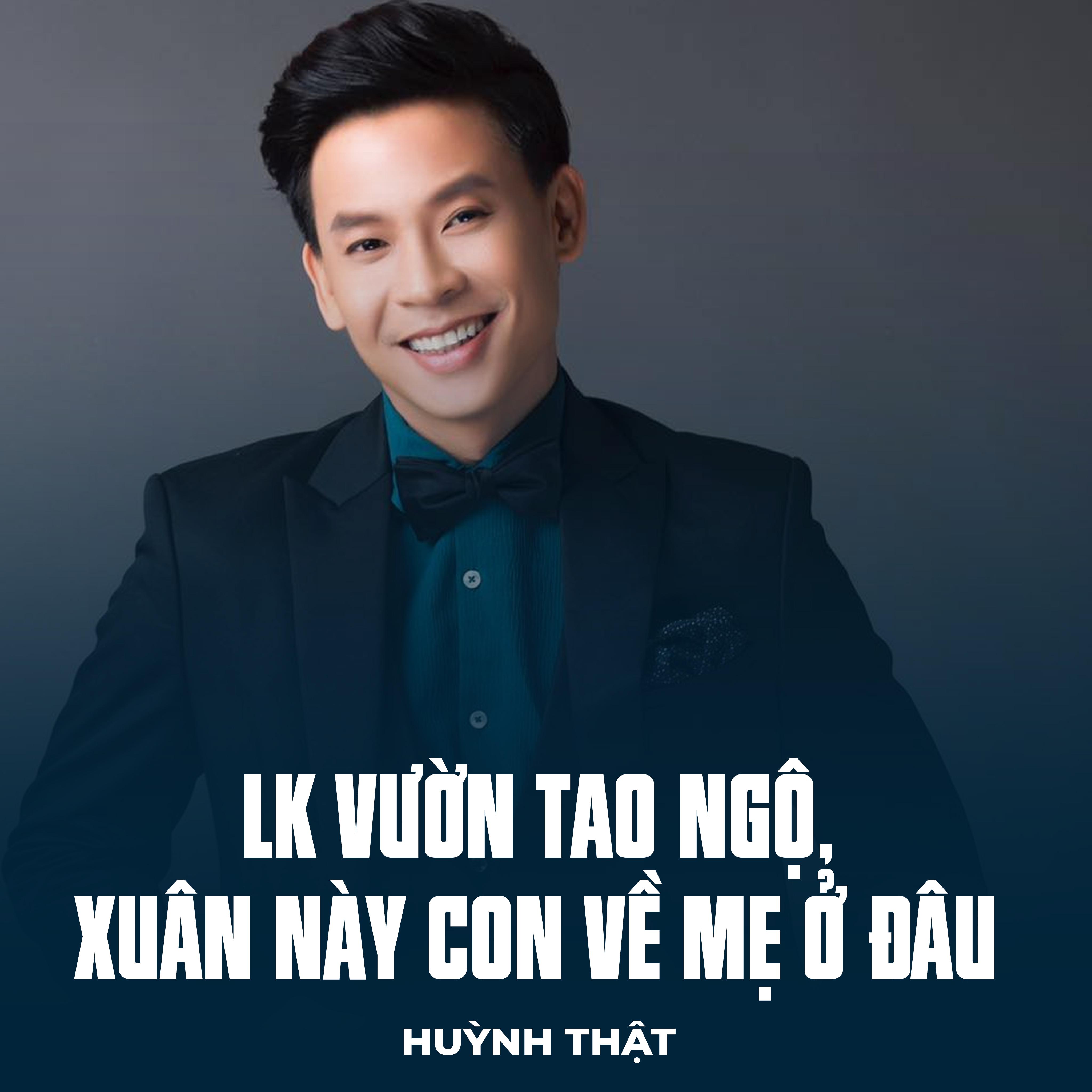 Постер альбома LK Vườn Tao Ngộ, Xuân Này Con Về Mẹ Ở Đâu