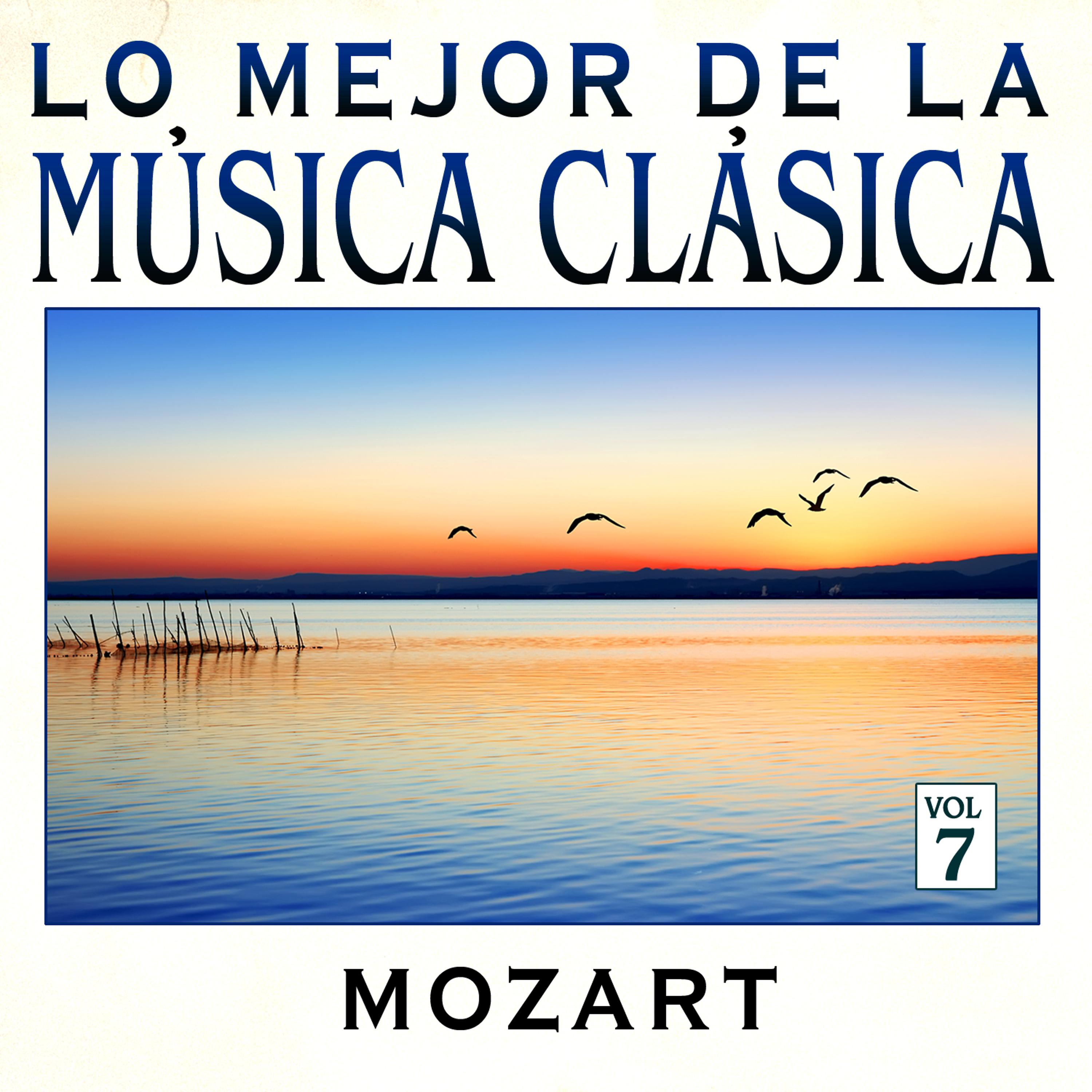 Постер альбома Música Clásica Vol. 7: Mozart