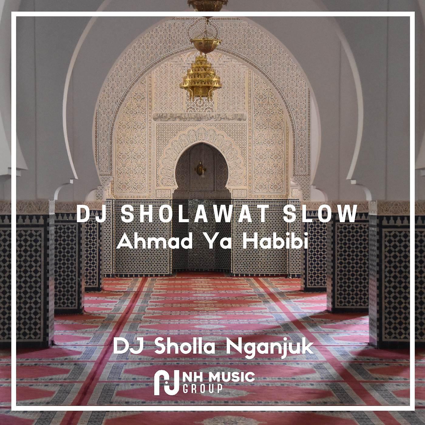 Постер альбома DJ Sholawat Slow Ahmad Ya Habibi