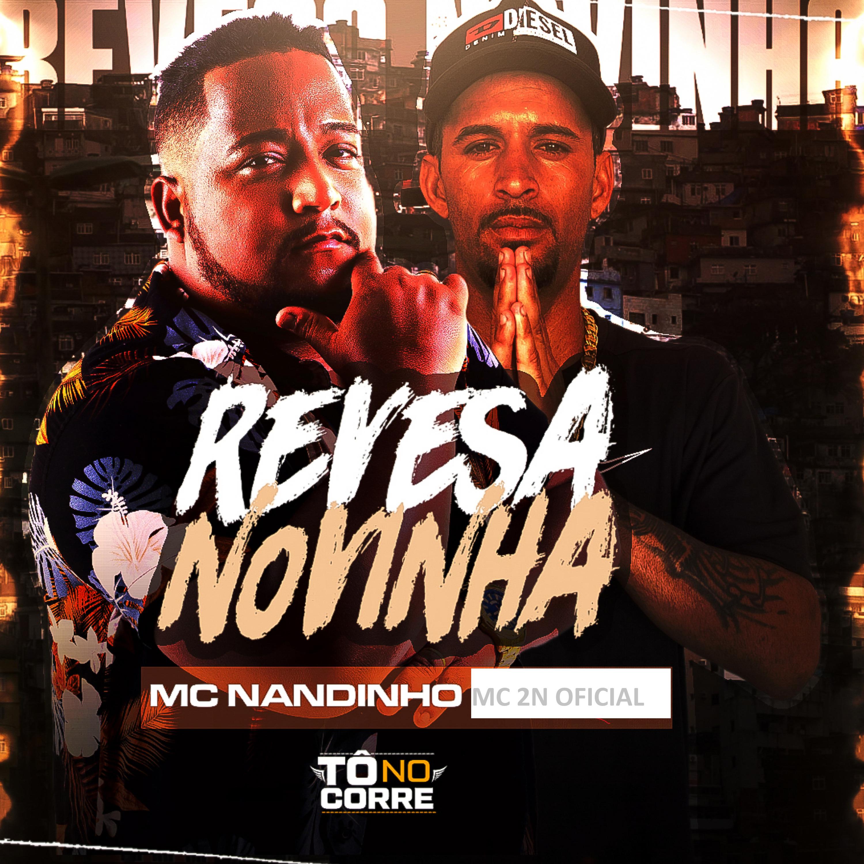 Постер альбома Revesa Novinha