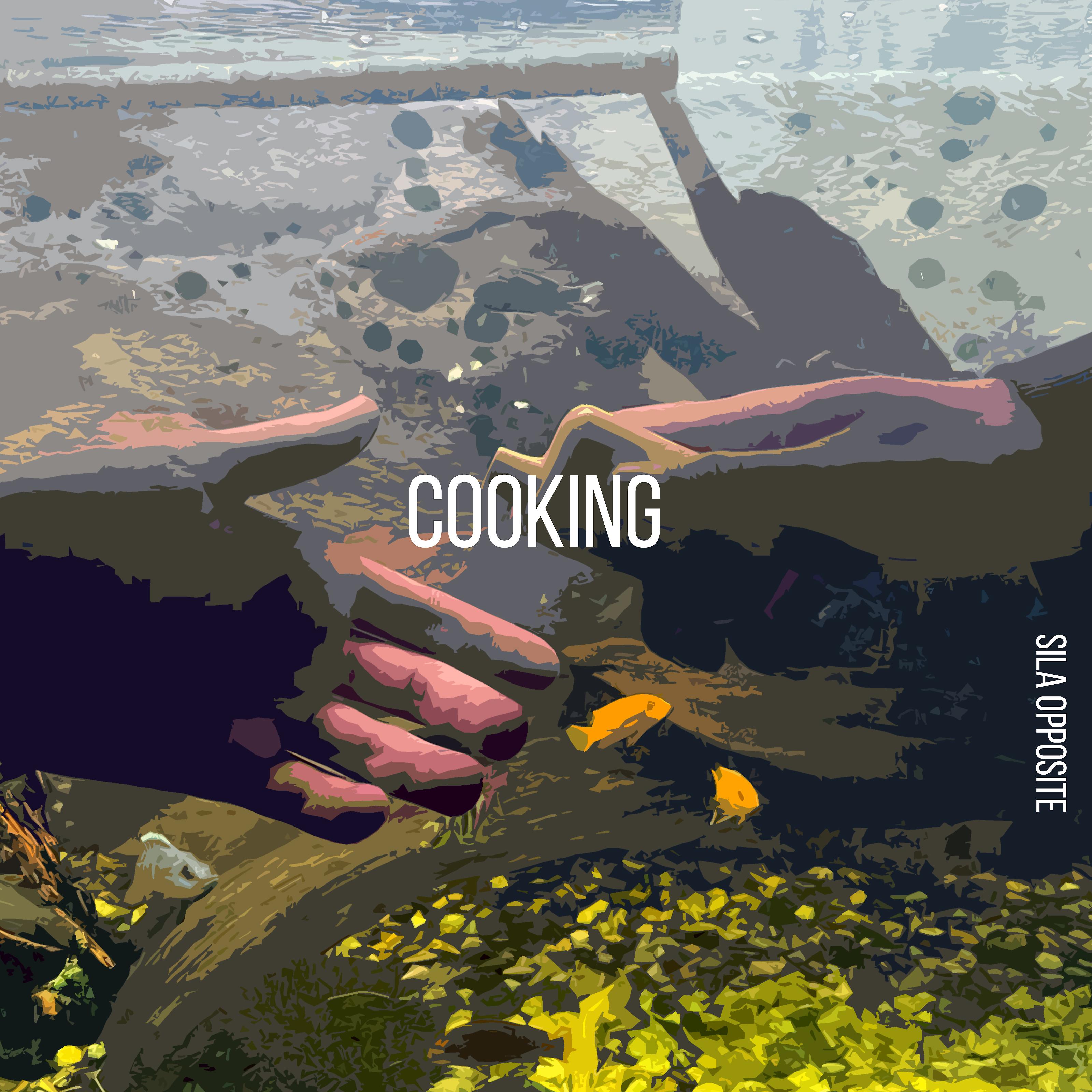Постер альбома Cooking
