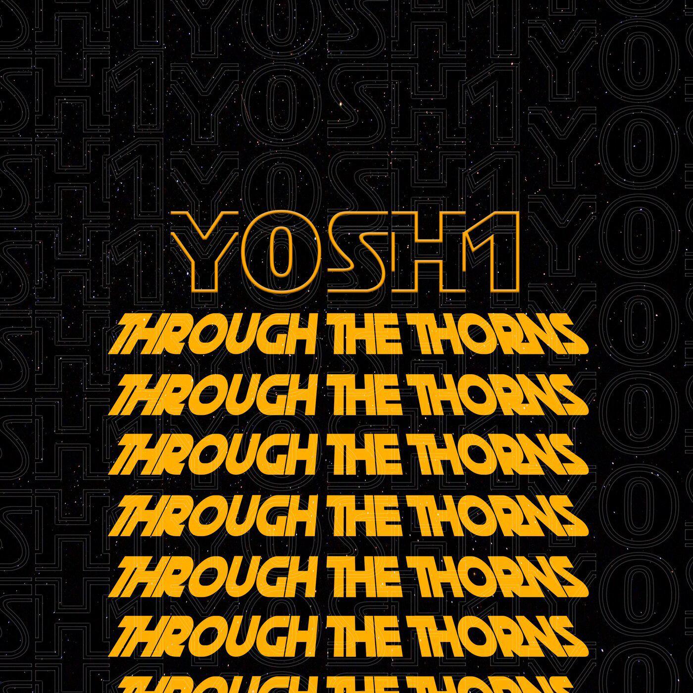 Постер альбома Through the Thorns