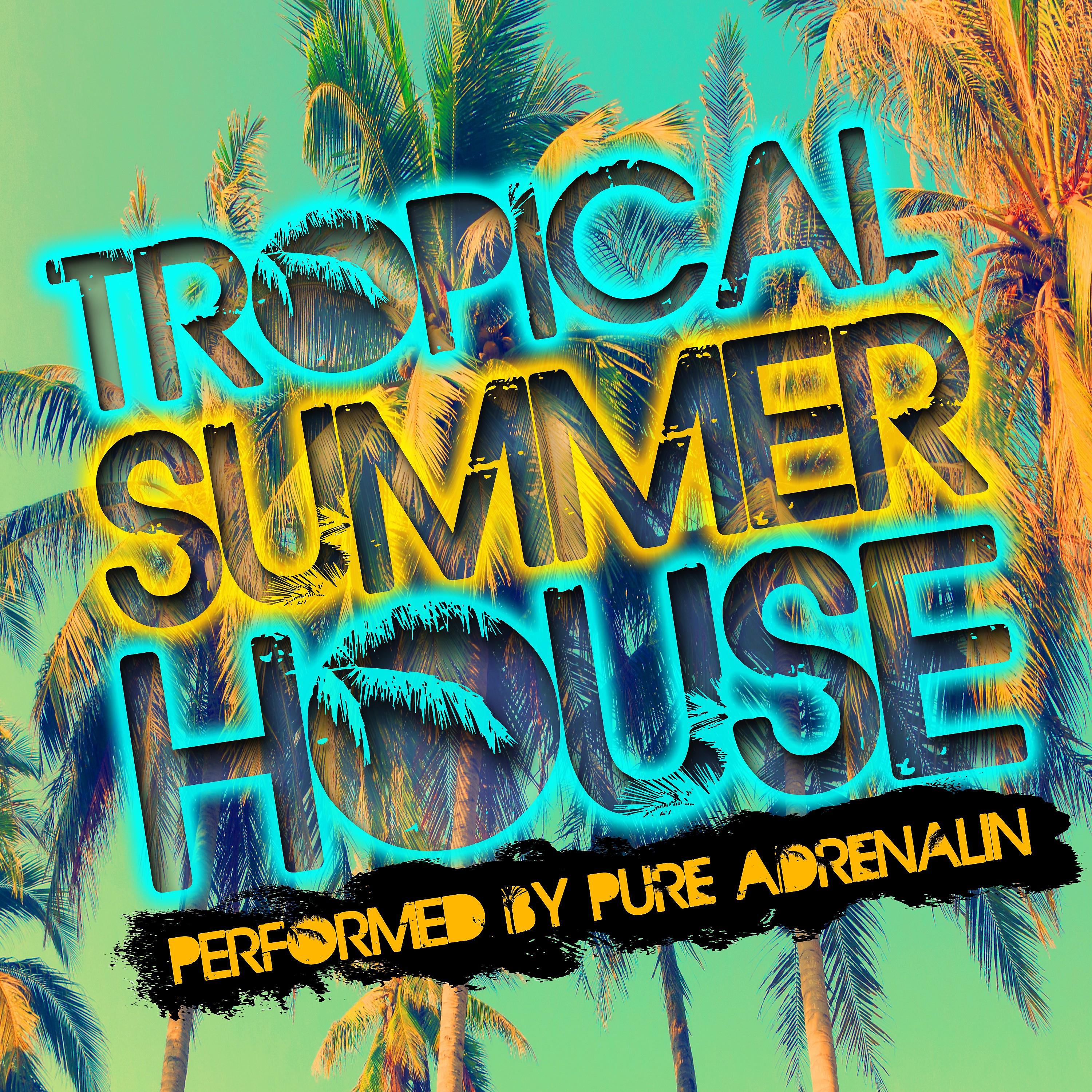 Постер альбома Tropical Summer House