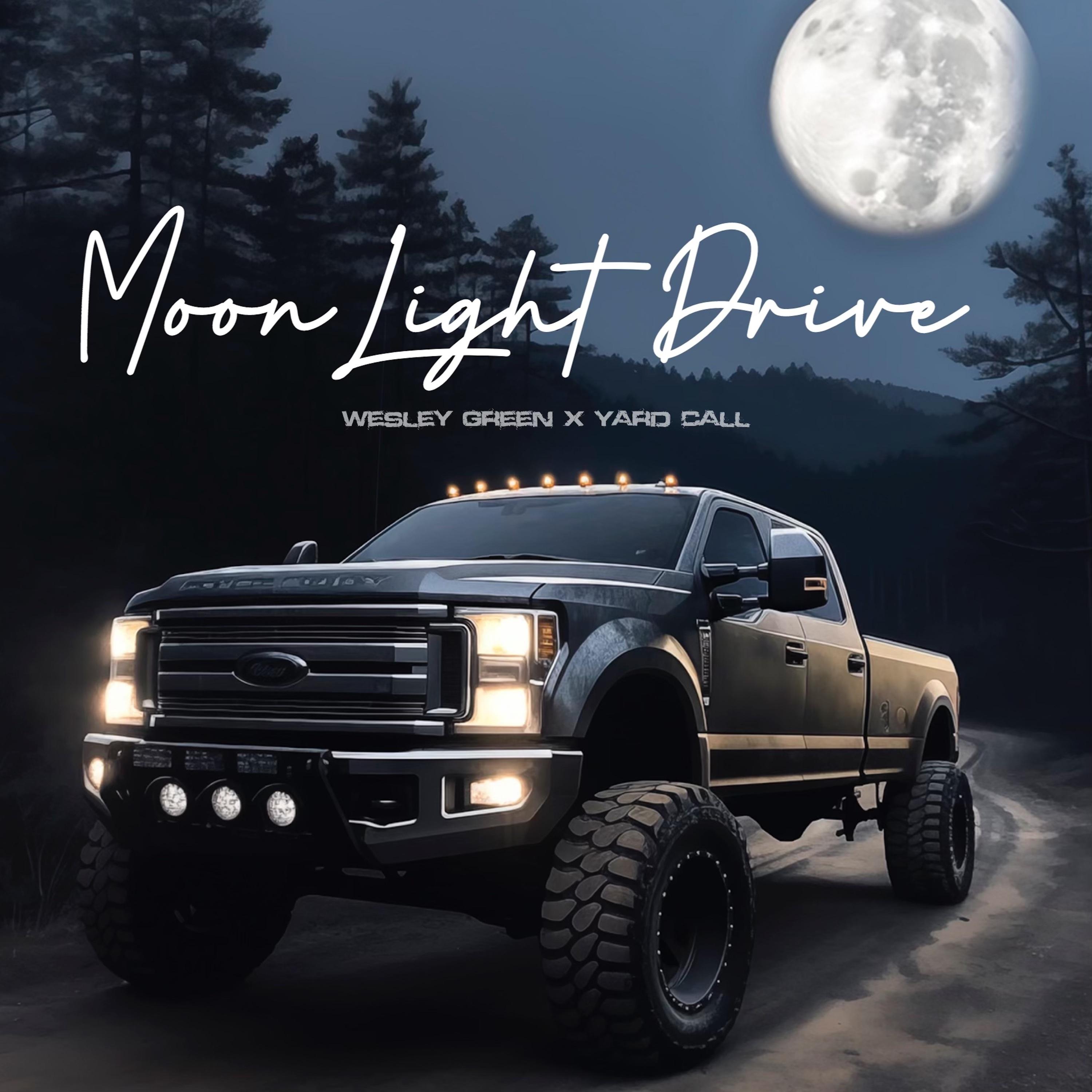 Постер альбома Moonlight Drive