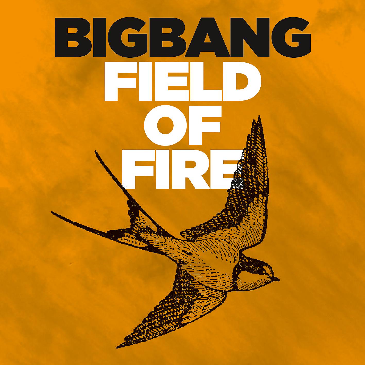 Постер альбома Field of Fire