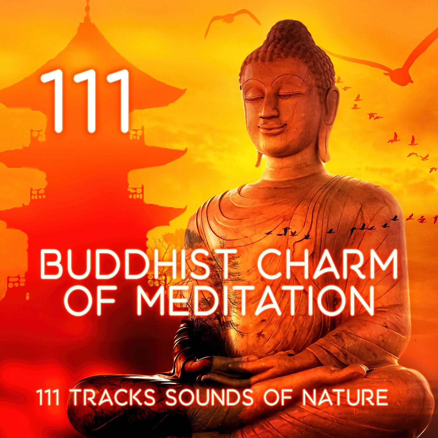 Постер альбома Buddhist Charm of Meditation: Healing Flute Chakras for Awakening of the Soul, Energy to Heal Body and Mind, Yoga Music for Yoga Class - 111 Tracks Sounds of Nature