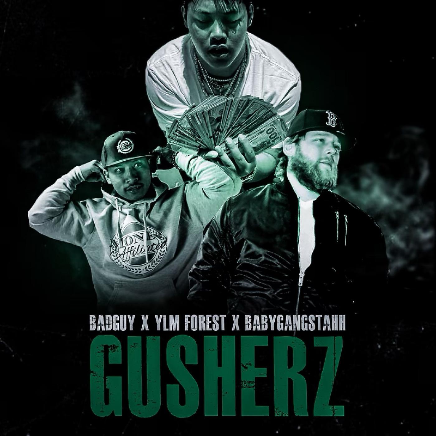 Постер альбома Gusherz