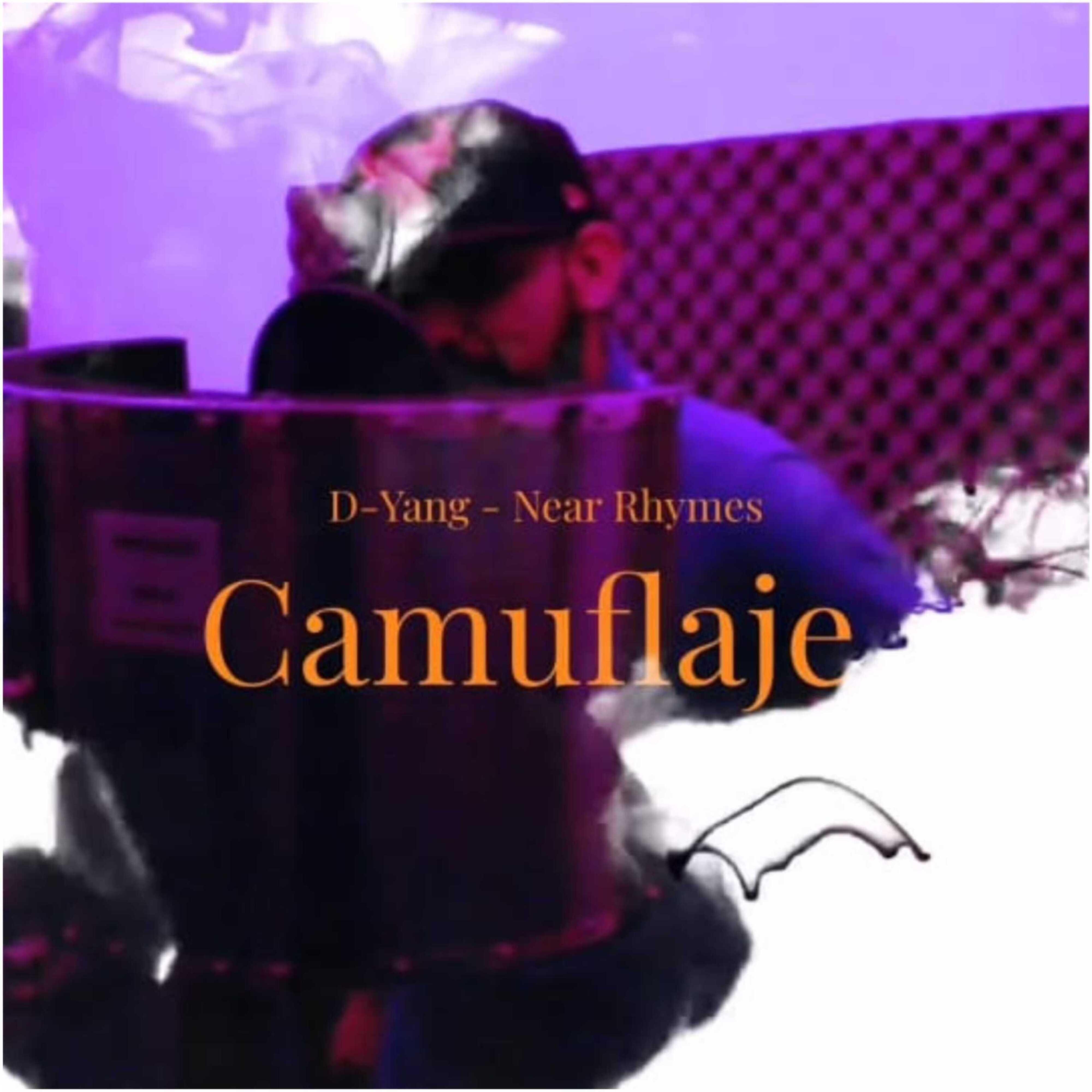 Постер альбома Camuflaje