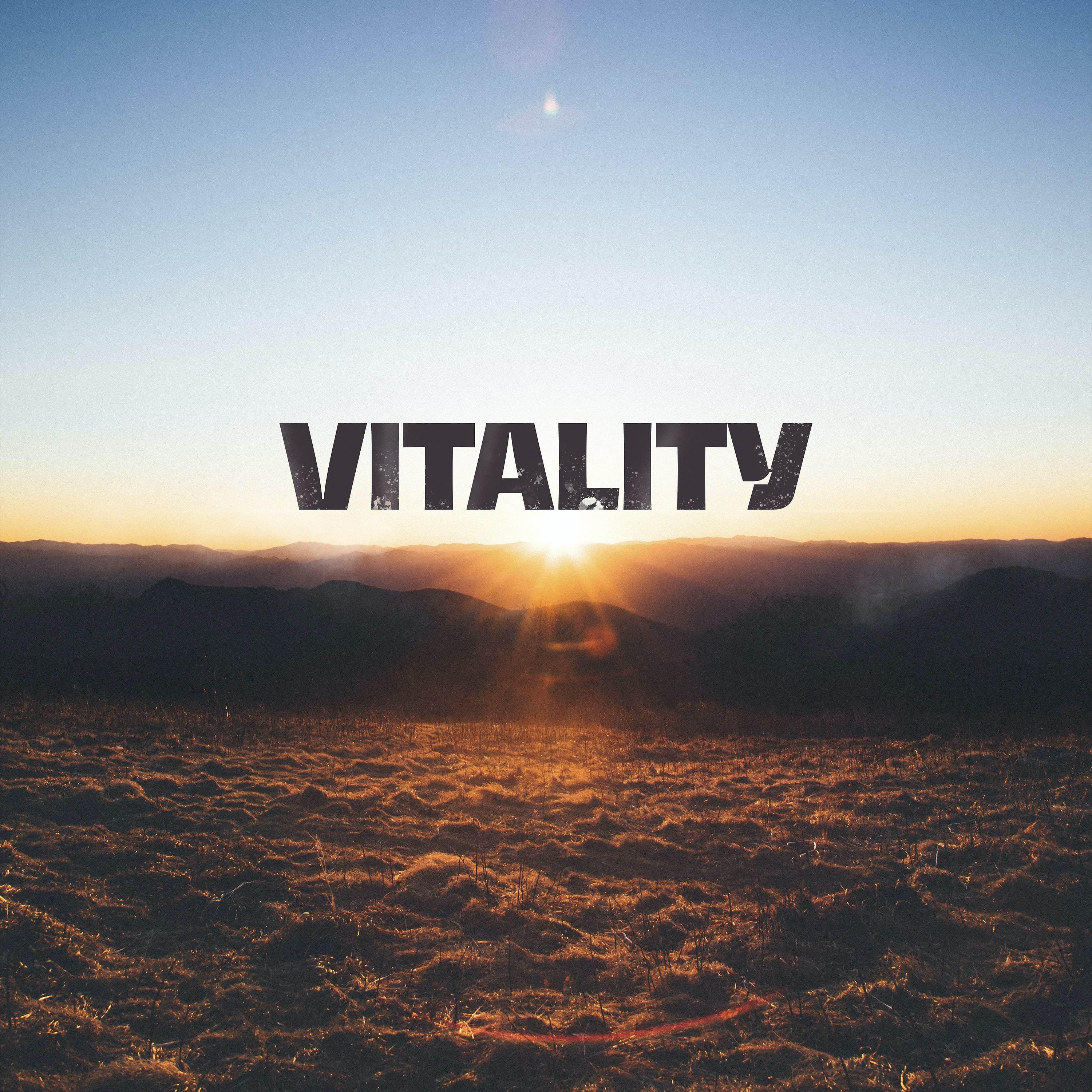 Постер альбома Vitality