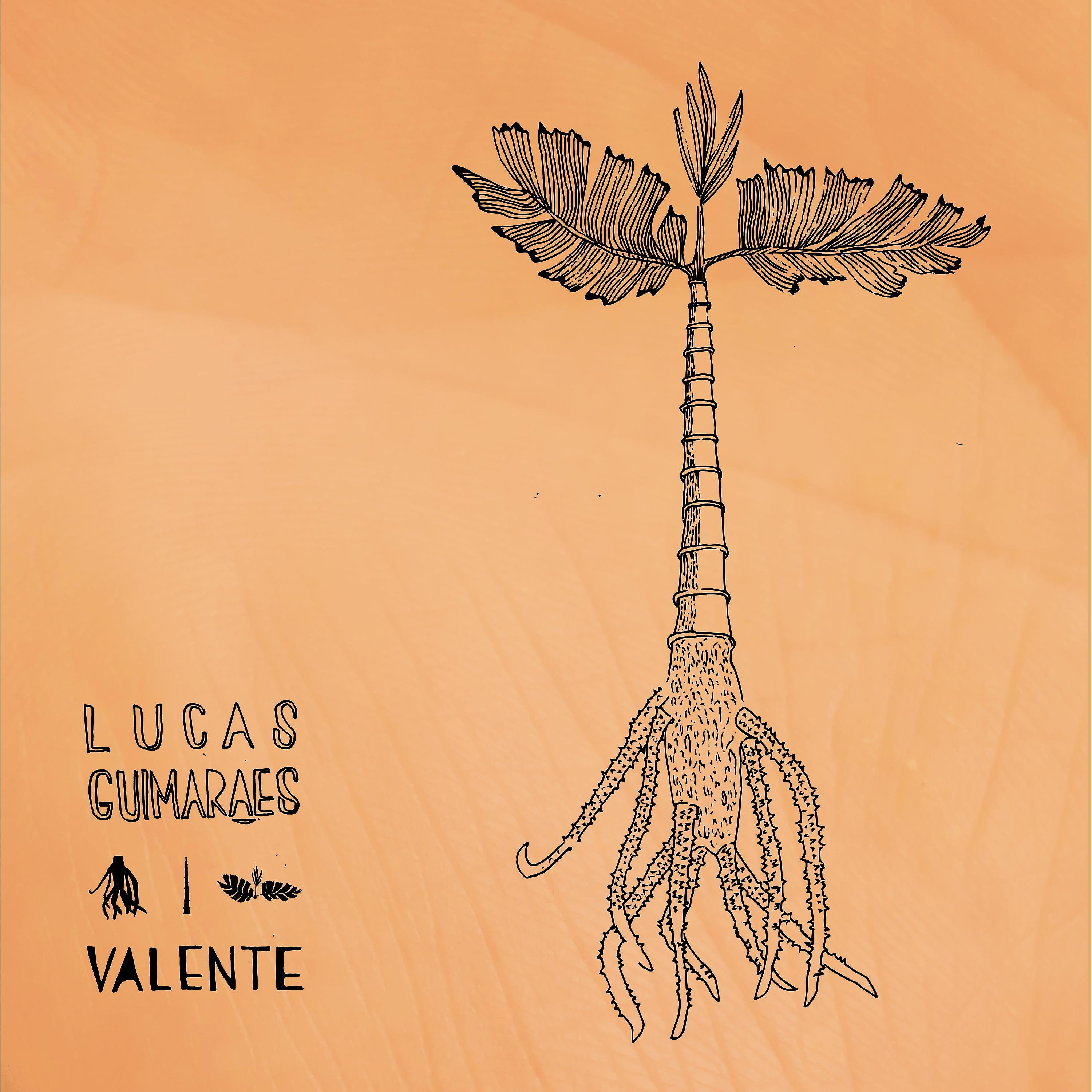 Постер альбома Valente