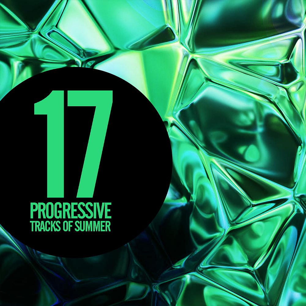 Постер альбома 17 Progressive Tracks Of Summer