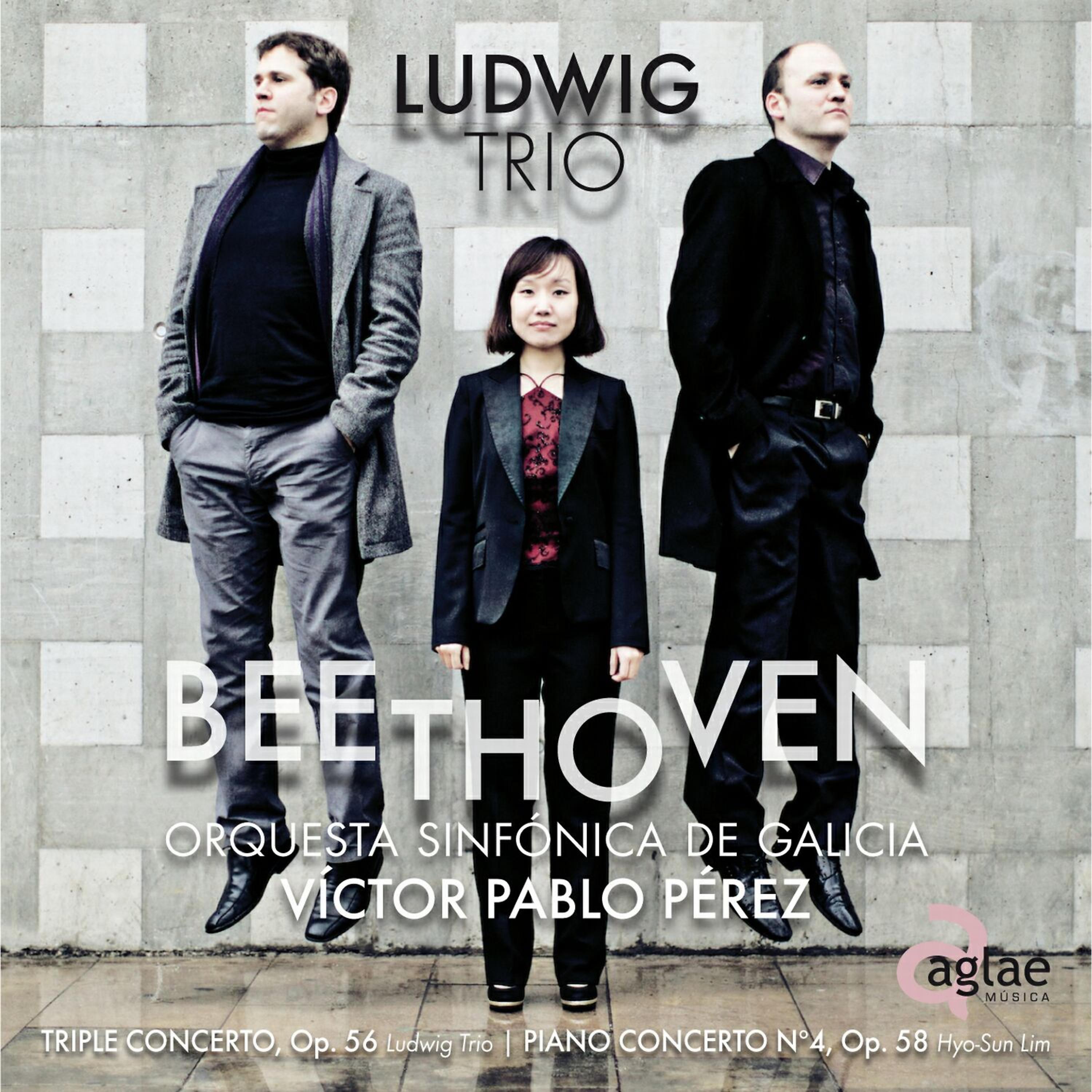 Постер альбома Beethoven