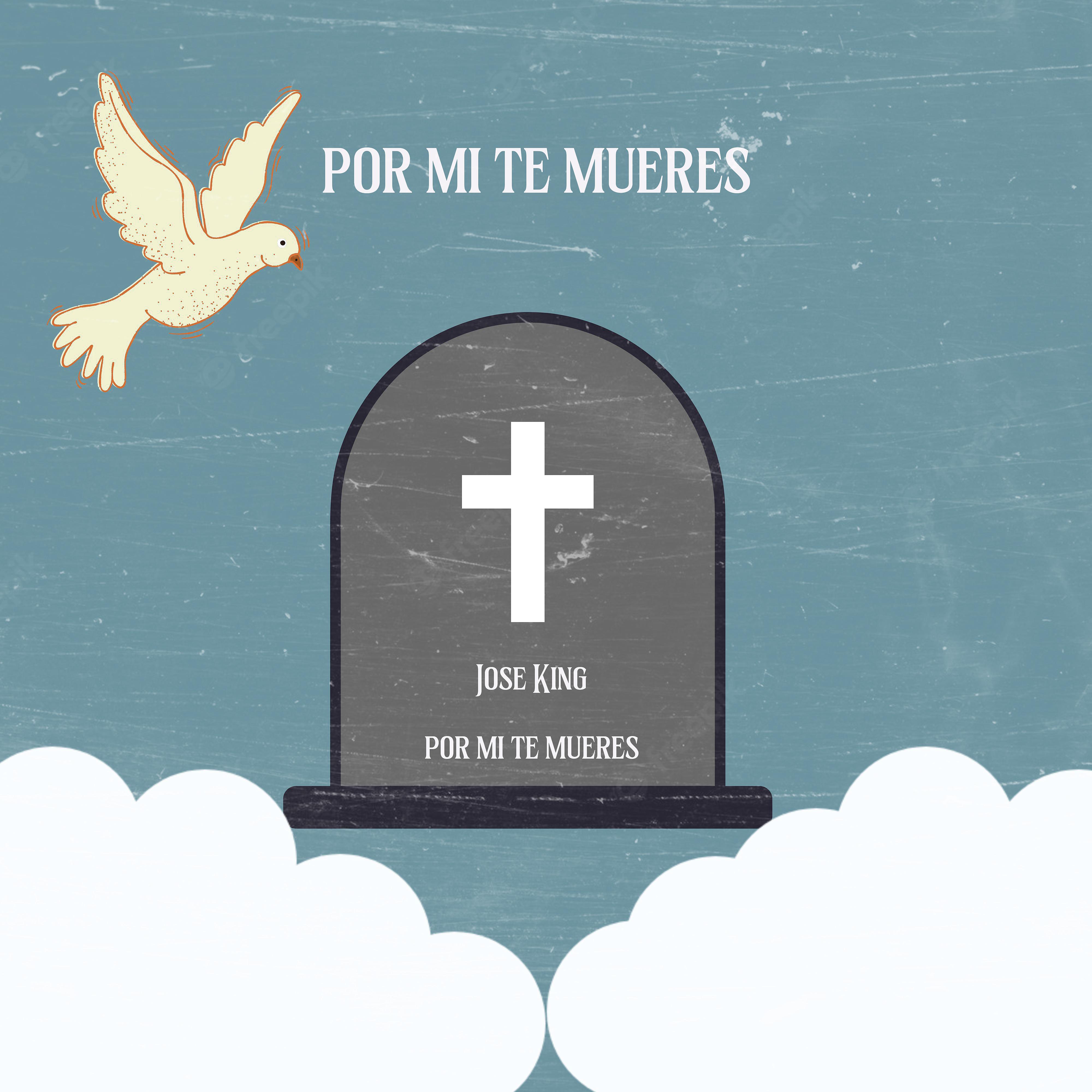 Постер альбома Por Mi Te Mueres