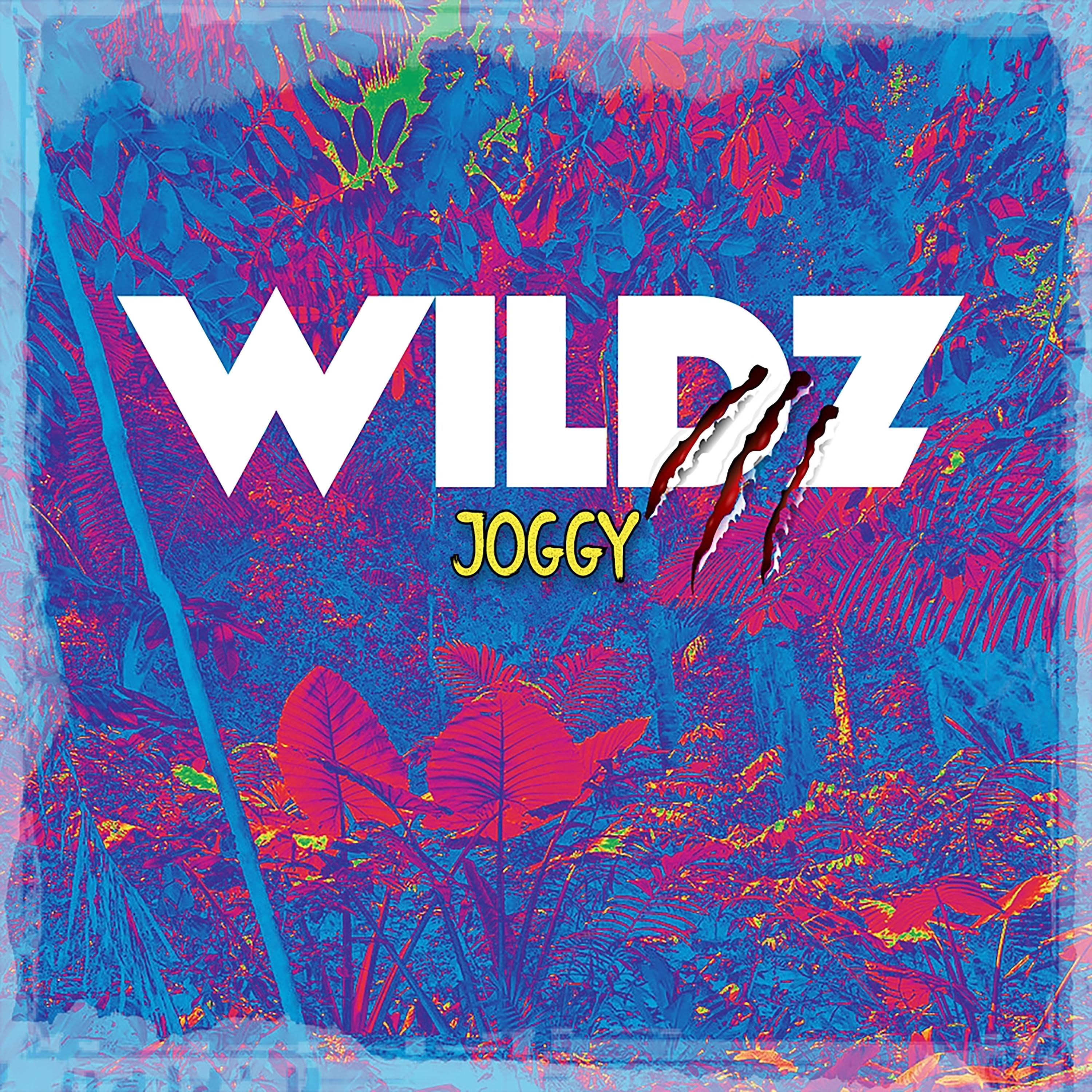 Постер альбома Wildz