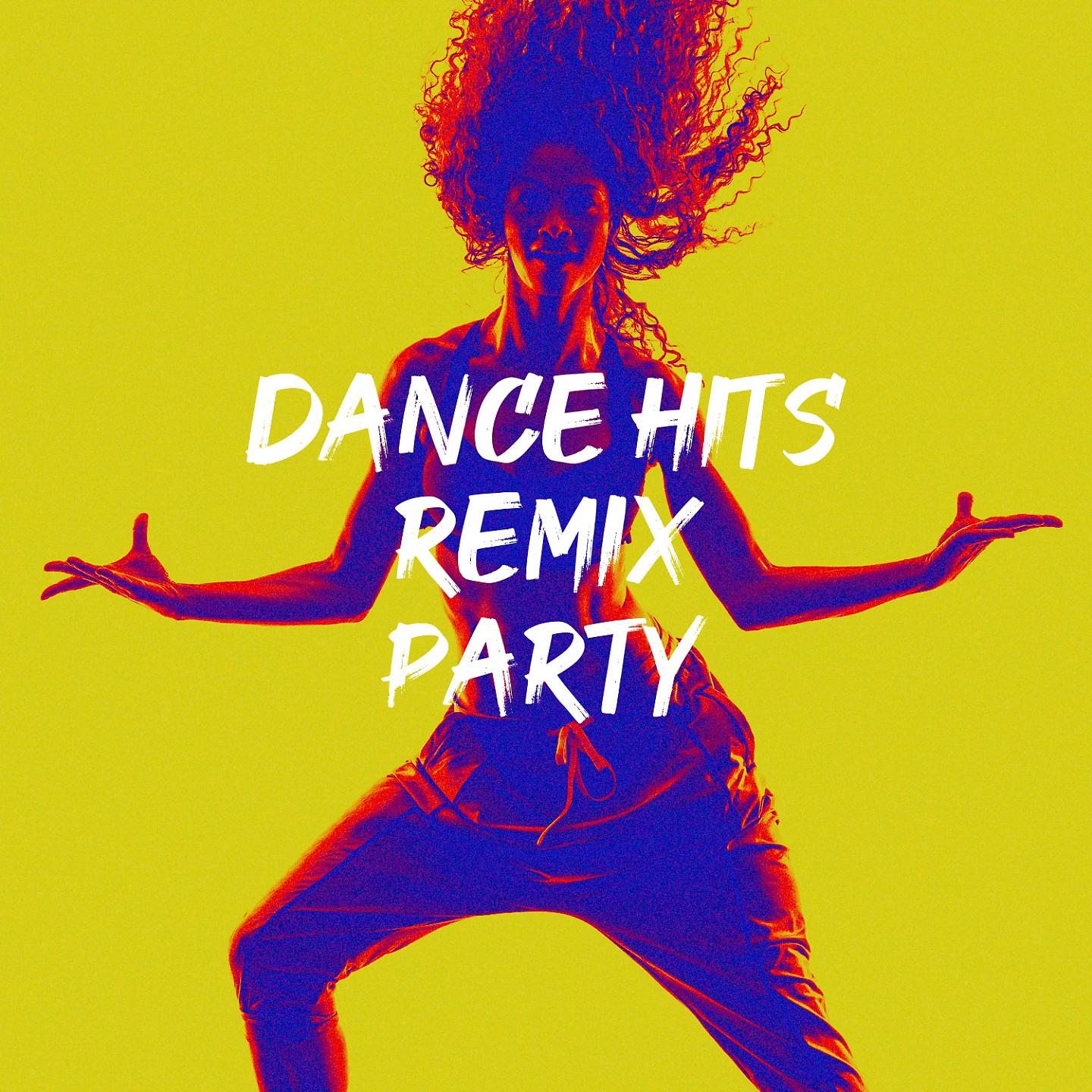 Постер альбома Dance Hits Remix Party