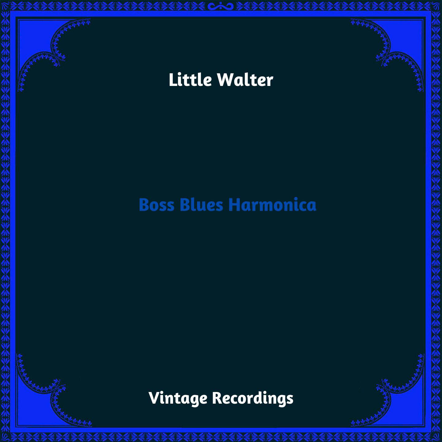 Постер альбома Boss Blues Harmonica