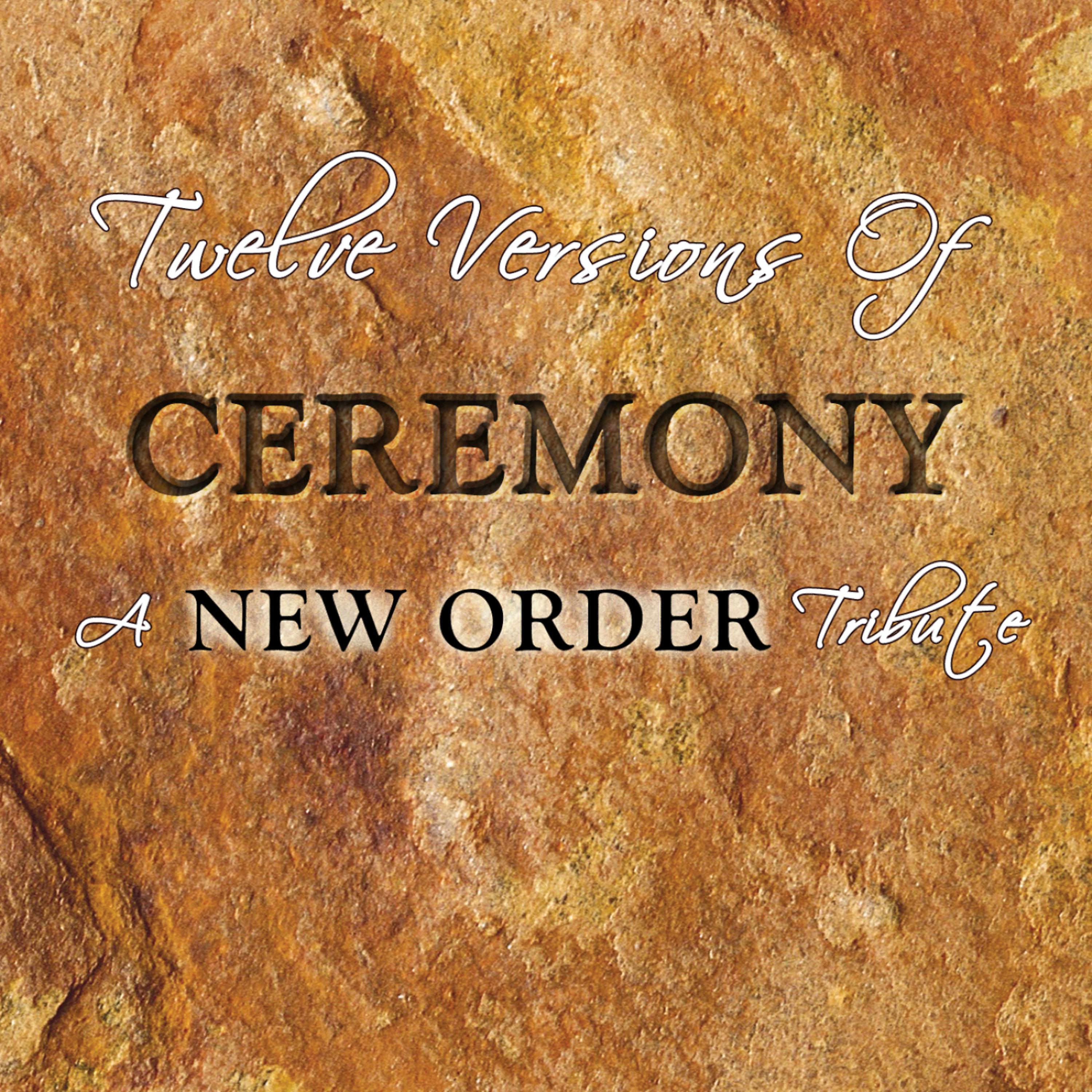 Постер альбома Twelve Versions of Ceremony - A New Order Tribute