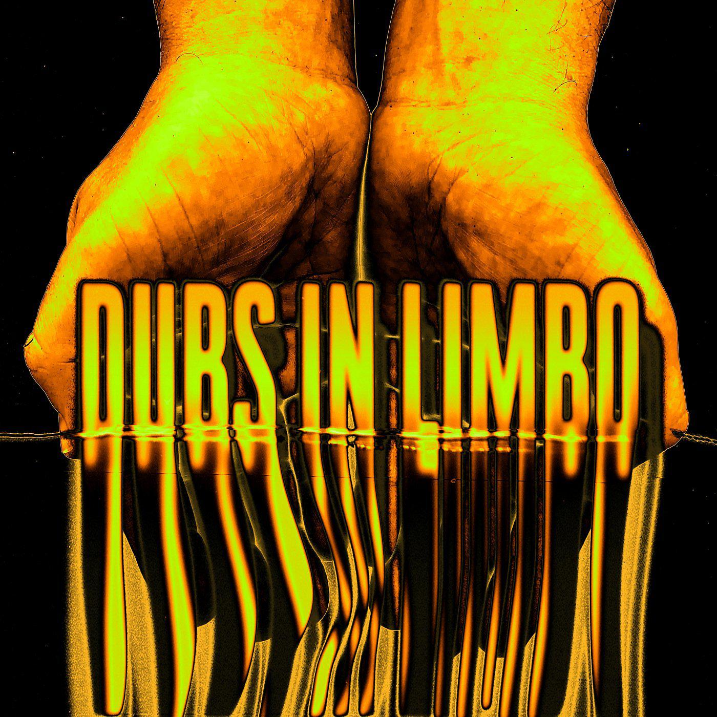 Постер альбома Dubs In Limbo