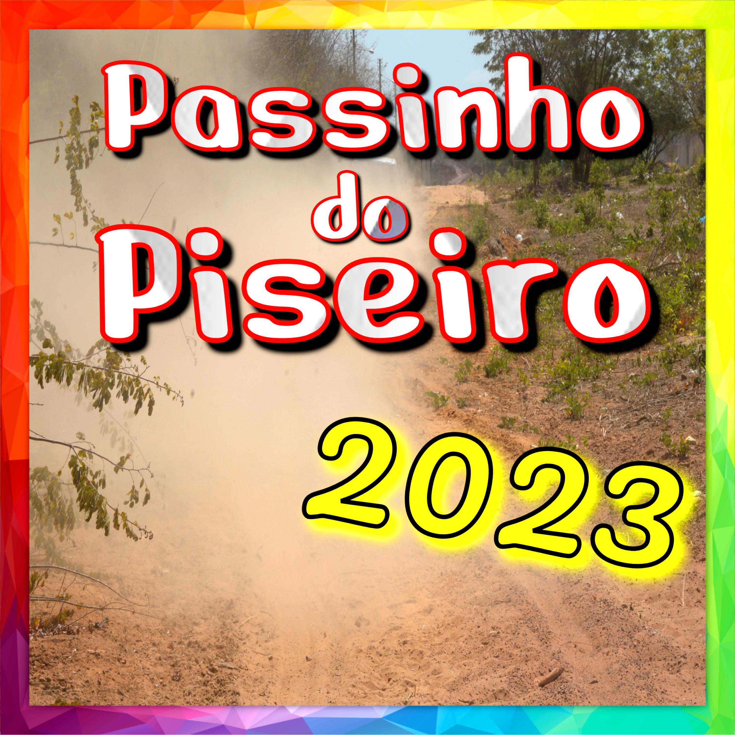 Постер альбома Passinho do Piseiro 2023