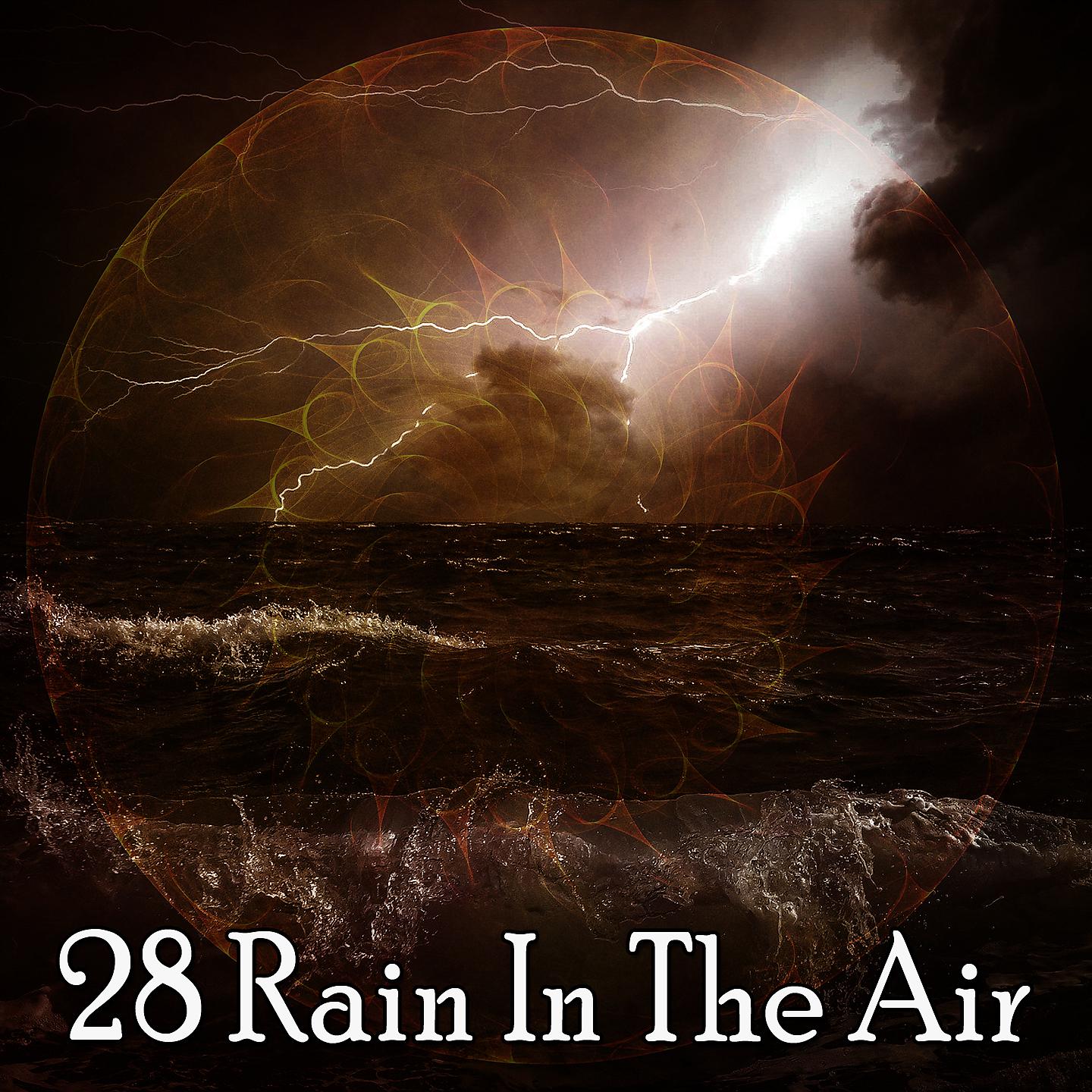 Постер альбома 28 Дождь в воздухе
