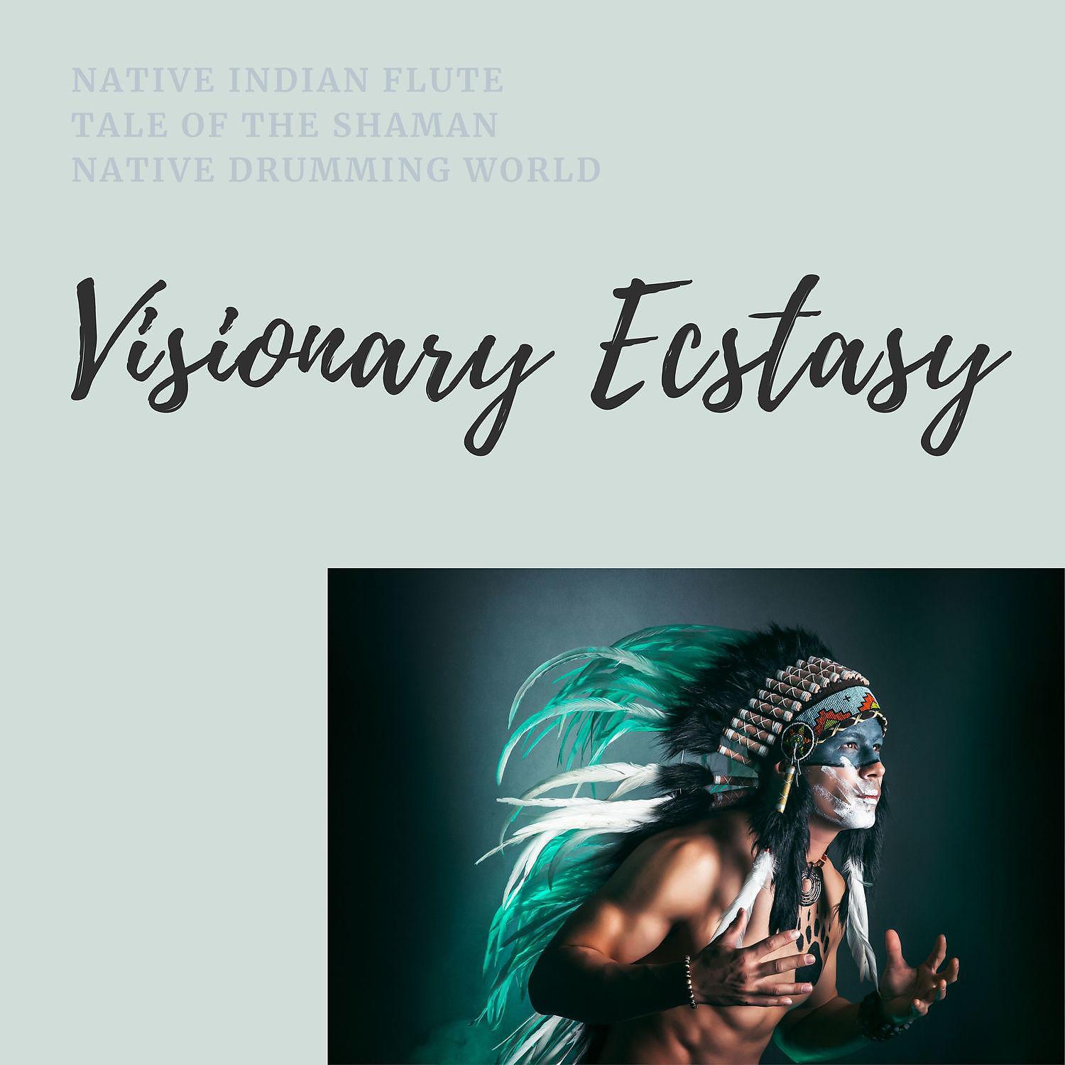 Постер альбома Visionary Ecstasy