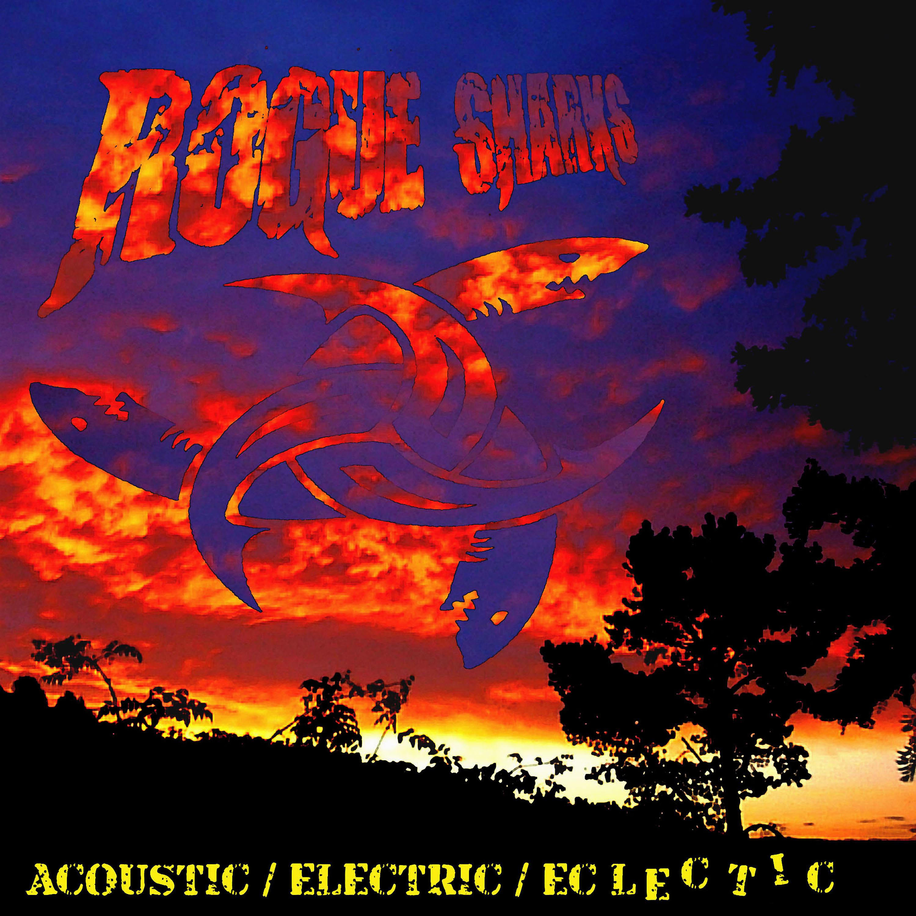 Постер альбома Acoustic Electric Eclectic