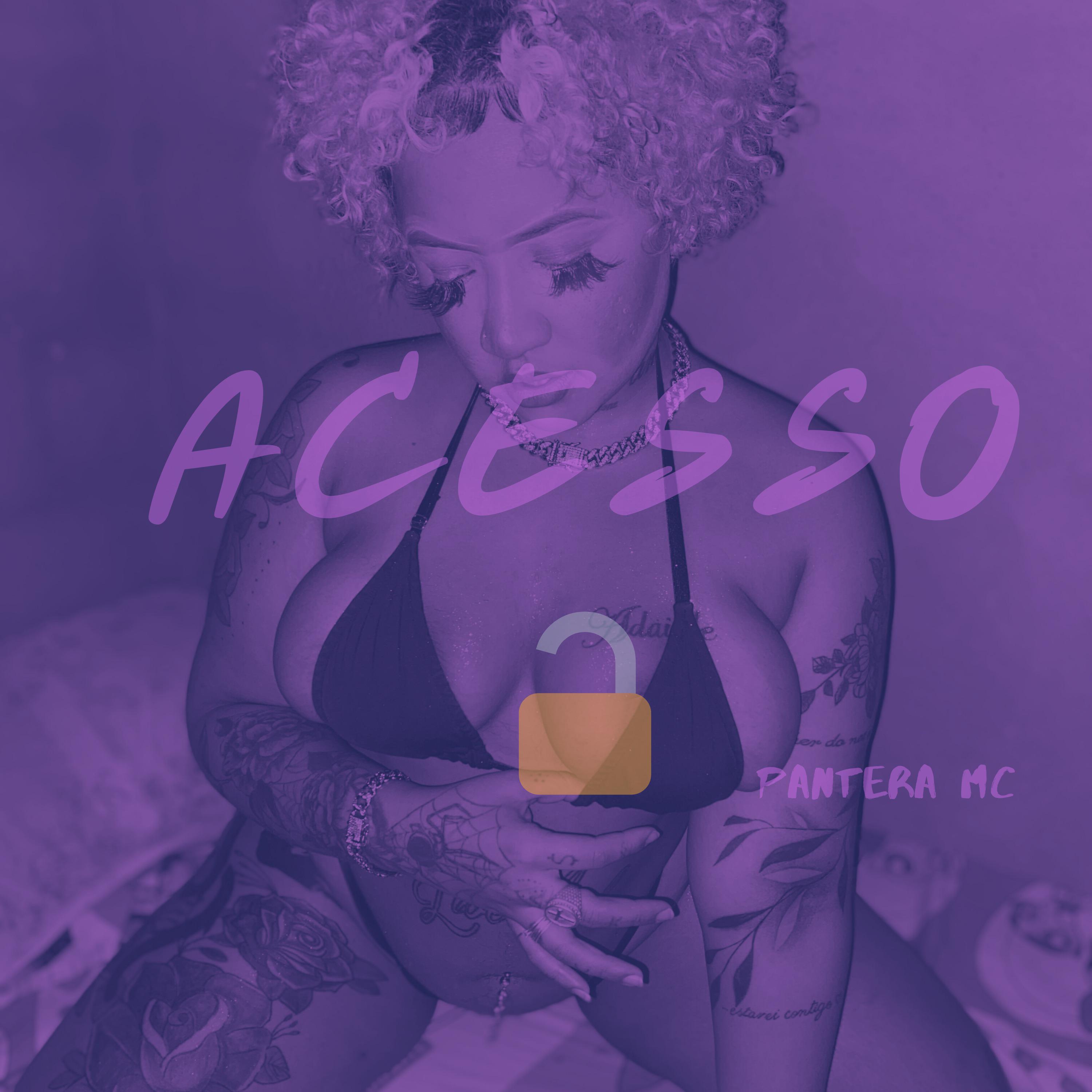 Постер альбома Acesso