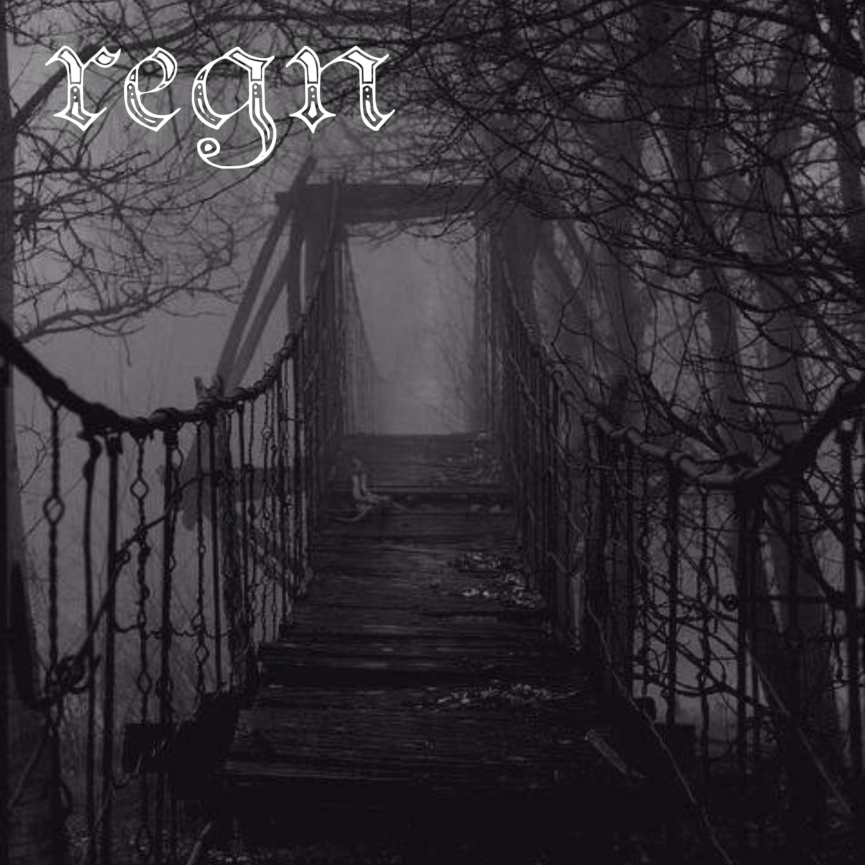 Постер альбома Regn