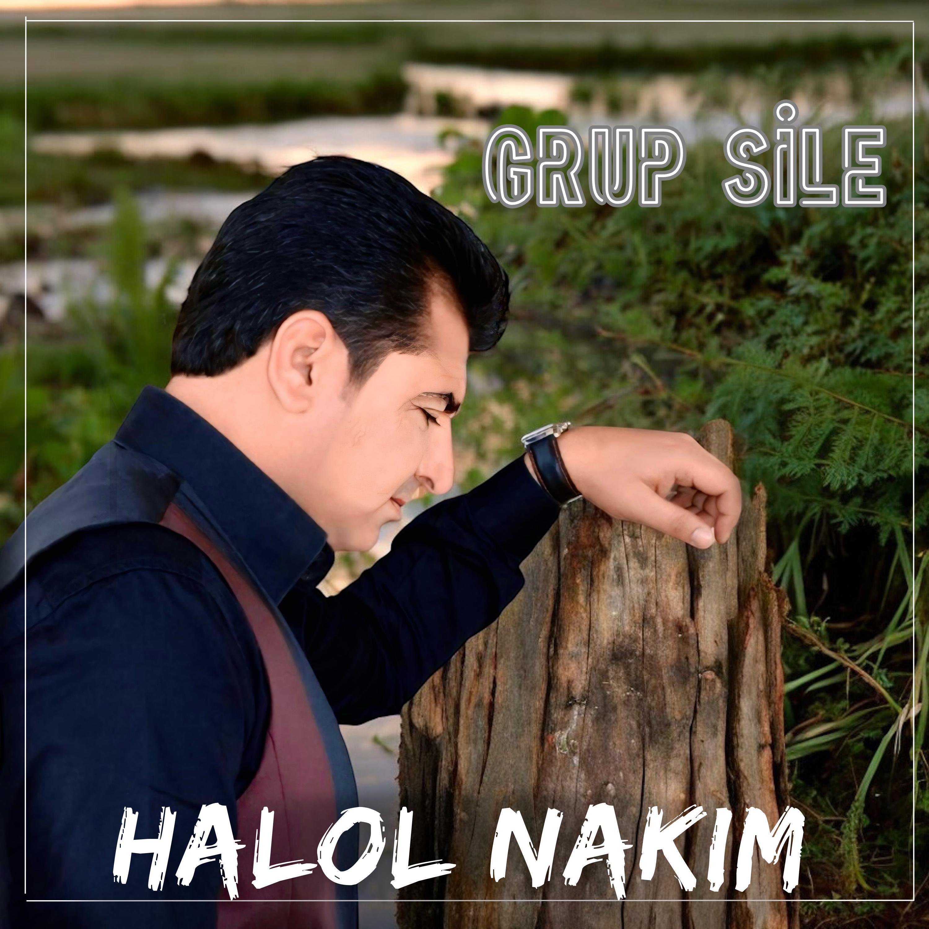 Постер альбома Halol Nokım