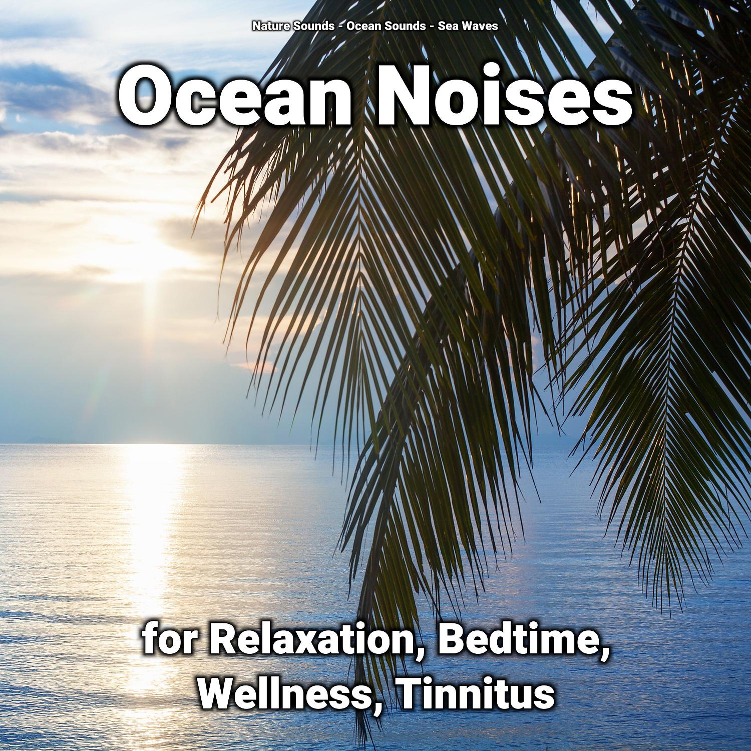 Постер альбома Ocean Noises for Relaxation, Bedtime, Wellness, Tinnitus