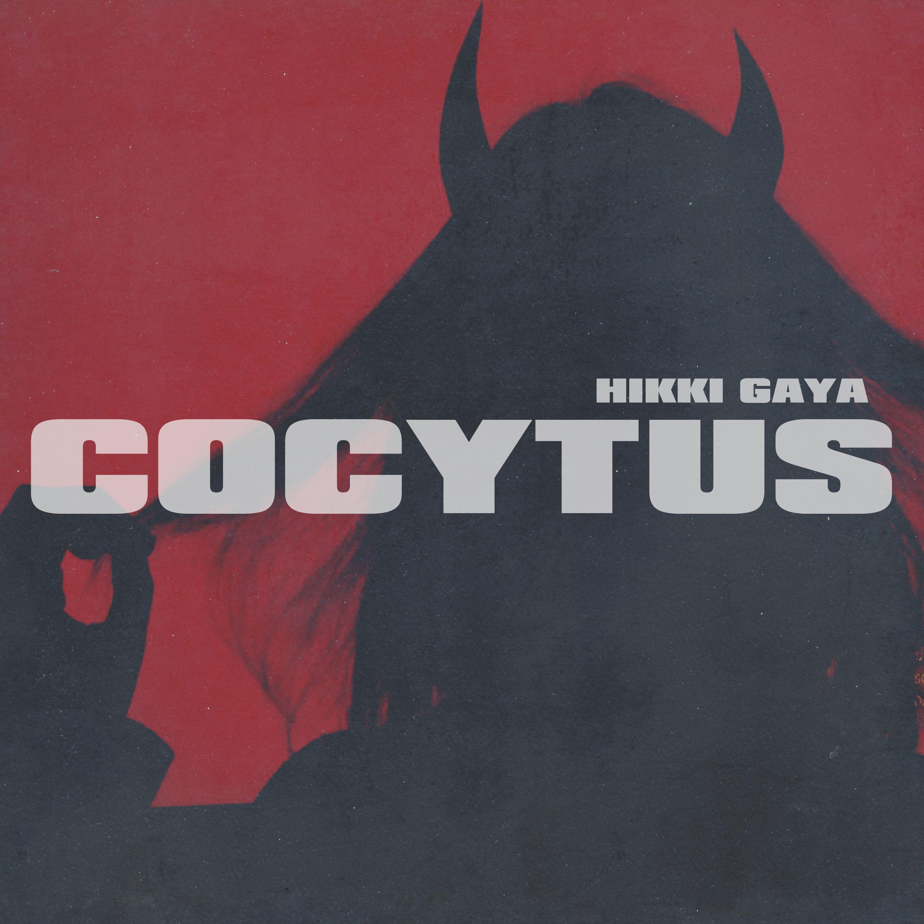 Постер альбома COCYTUS