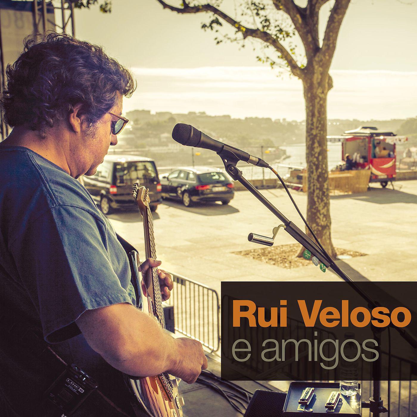 Постер альбома Rui Veloso e Amigos