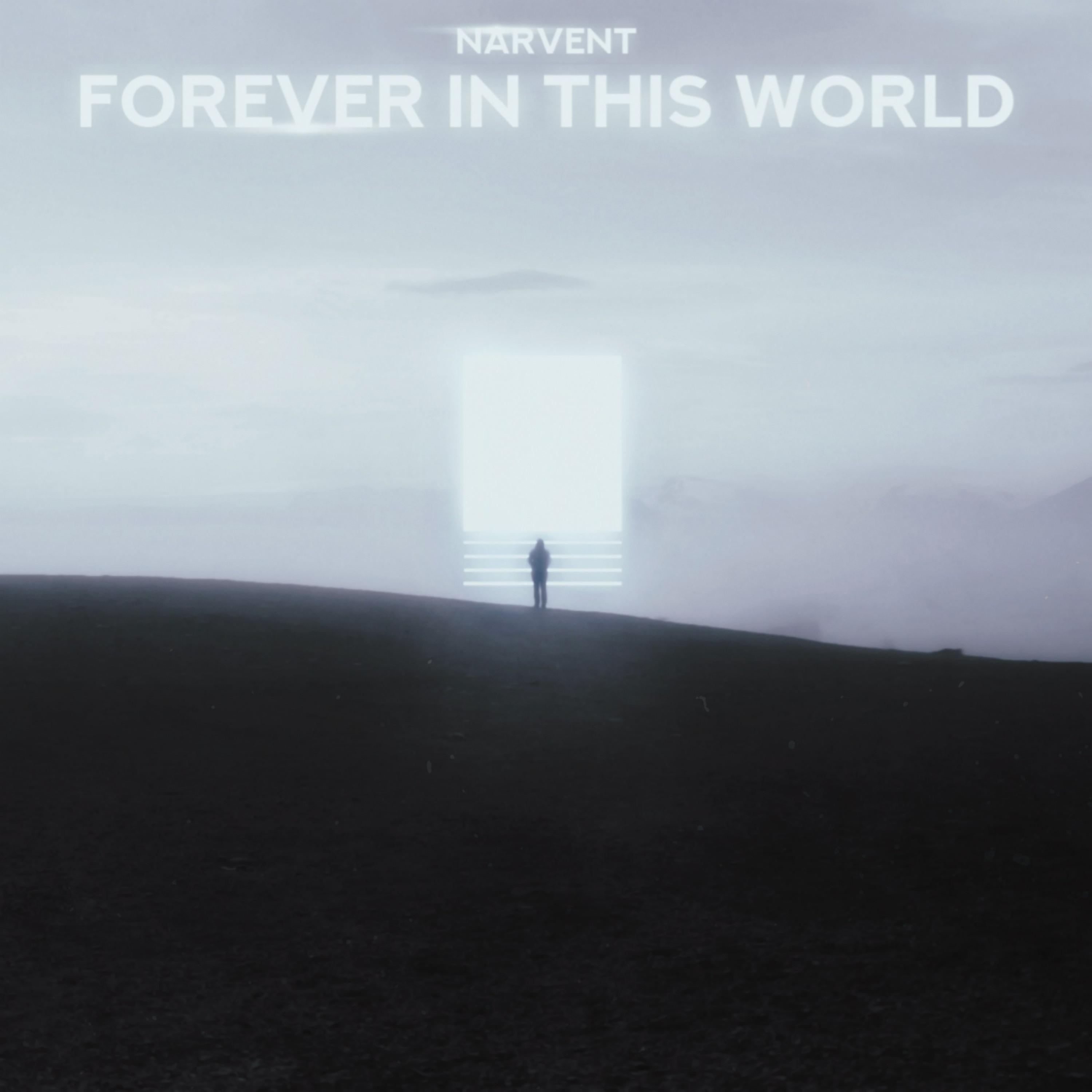 Постер альбома Forever In This World