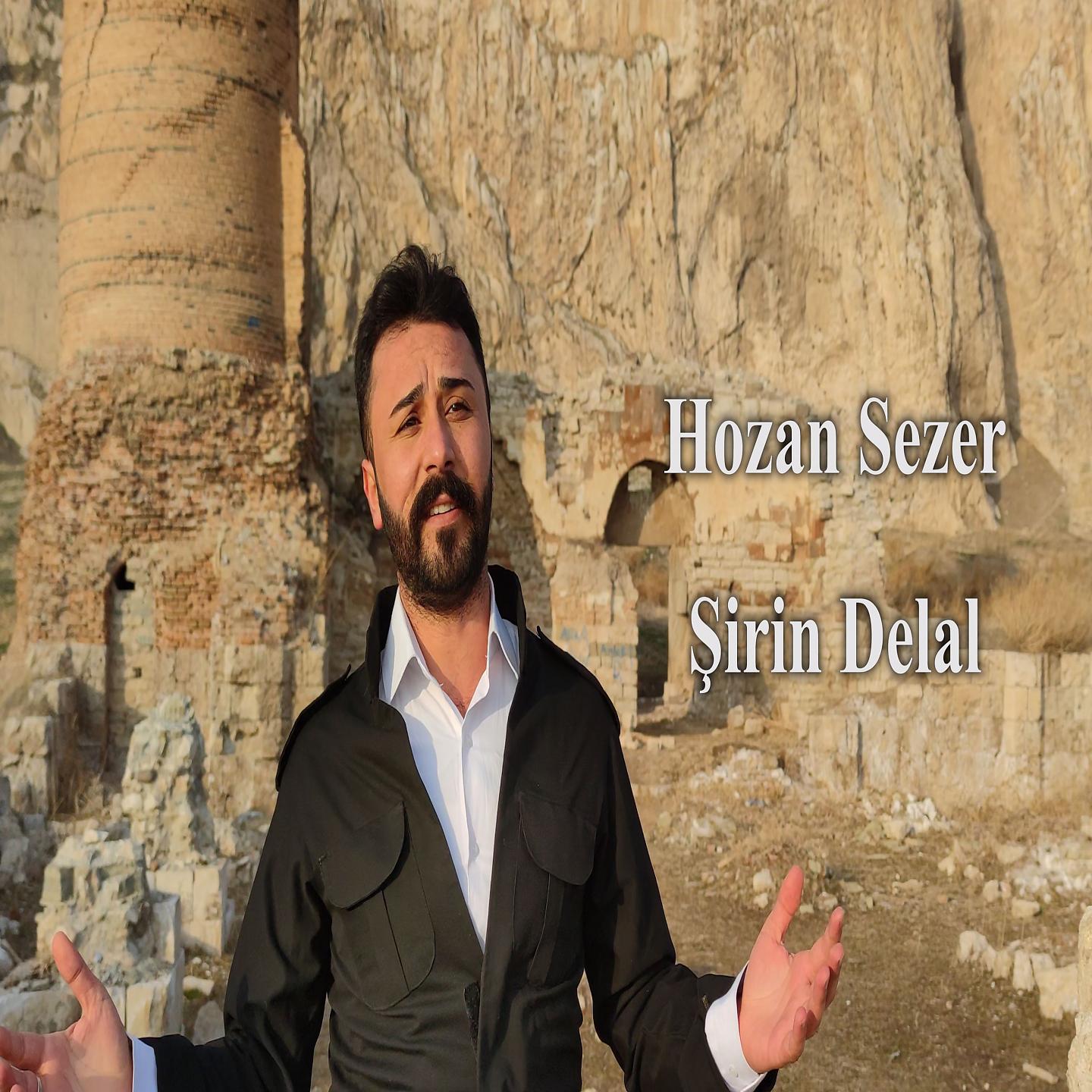 Постер альбома Şirin Delal