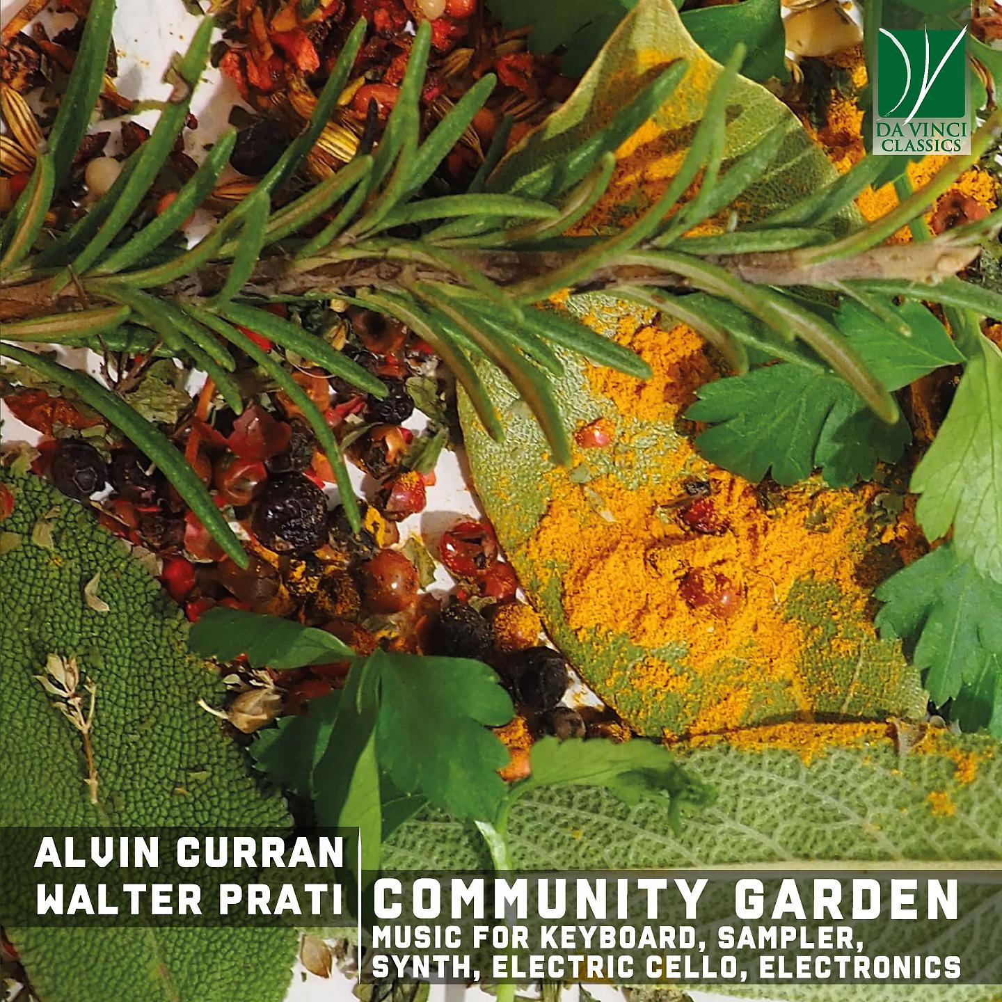 Постер альбома Alvin Curran, Walter Prati: Community Garden