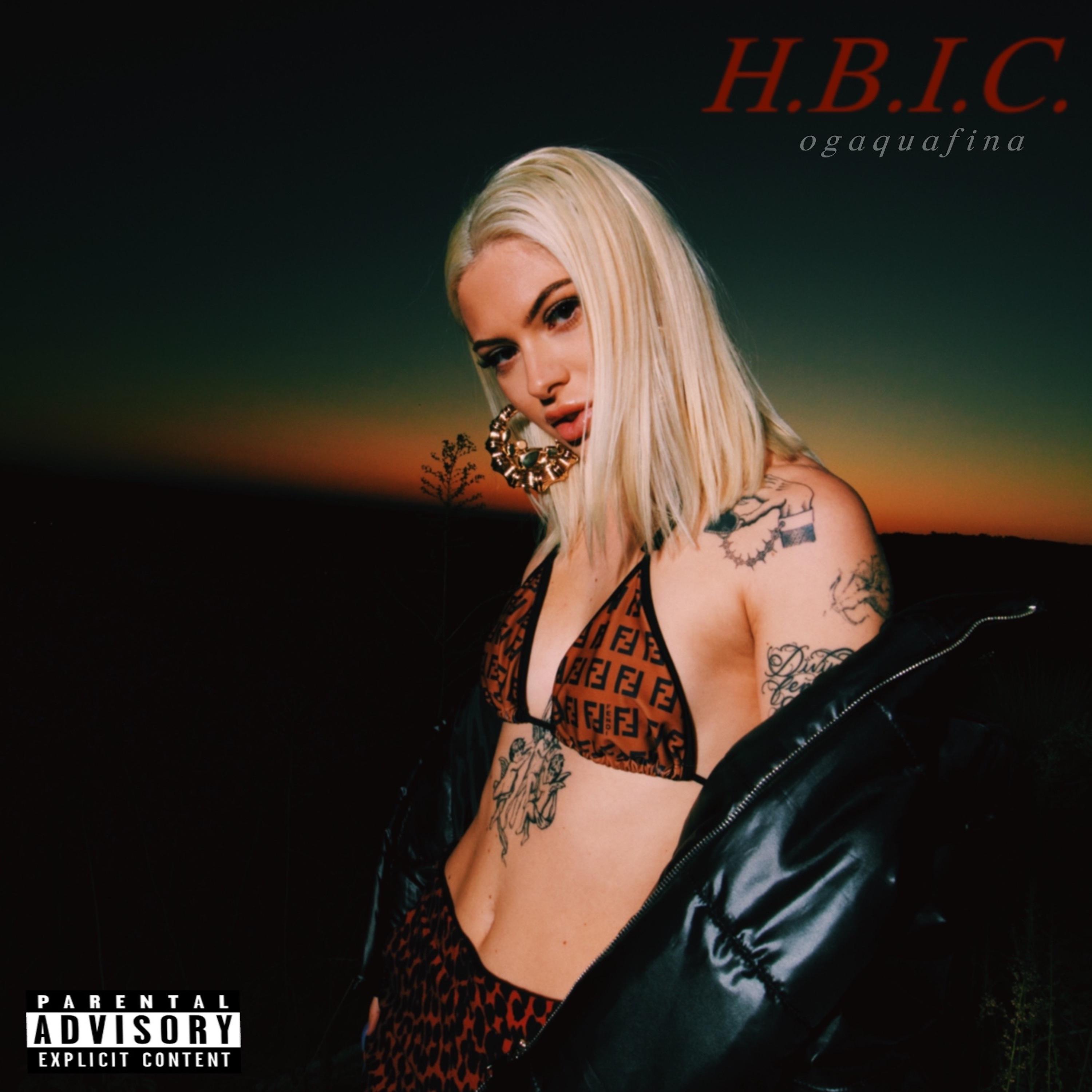 Постер альбома H.B.I.C
