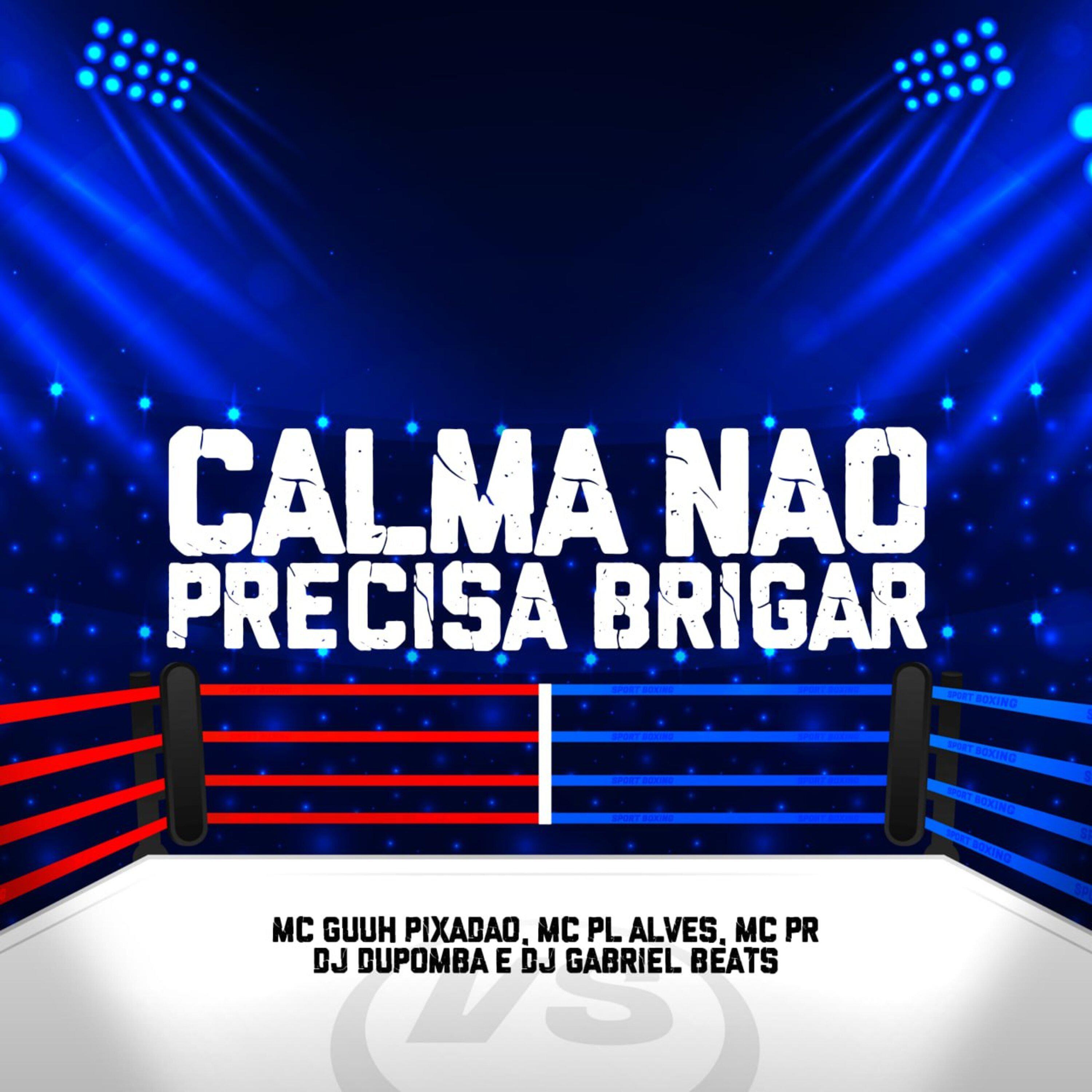 Постер альбома Calma Não Precisa Brigar