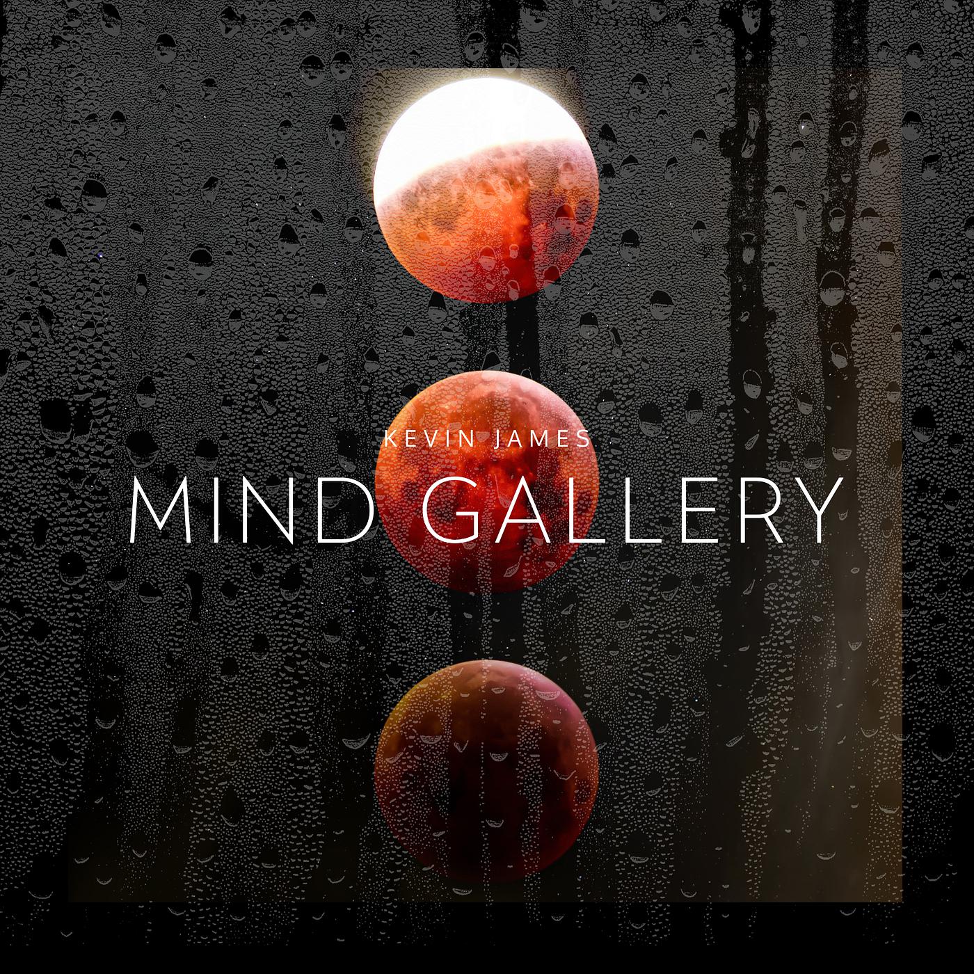 Постер альбома Mind Gallery
