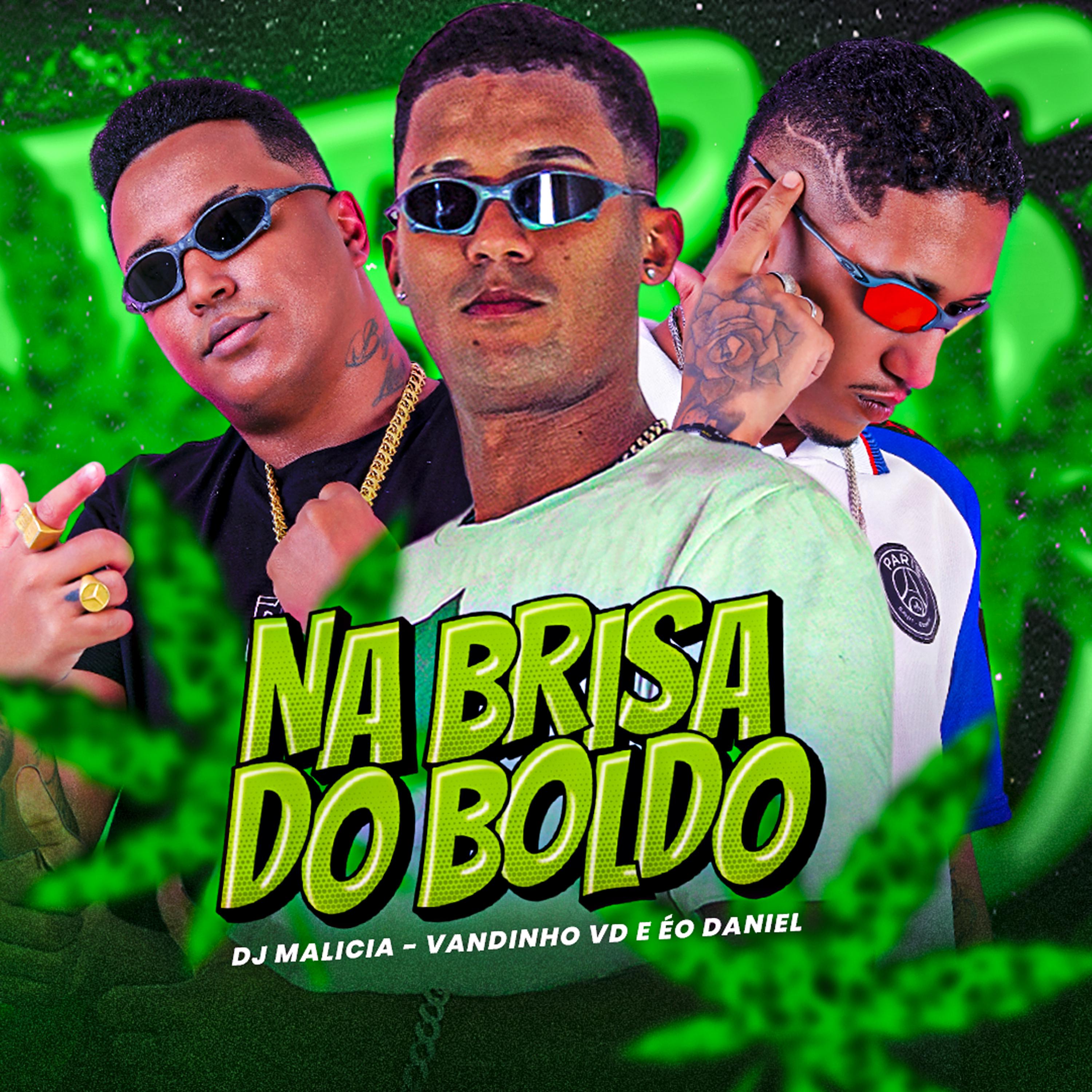Постер альбома Na Brisa do Boldo