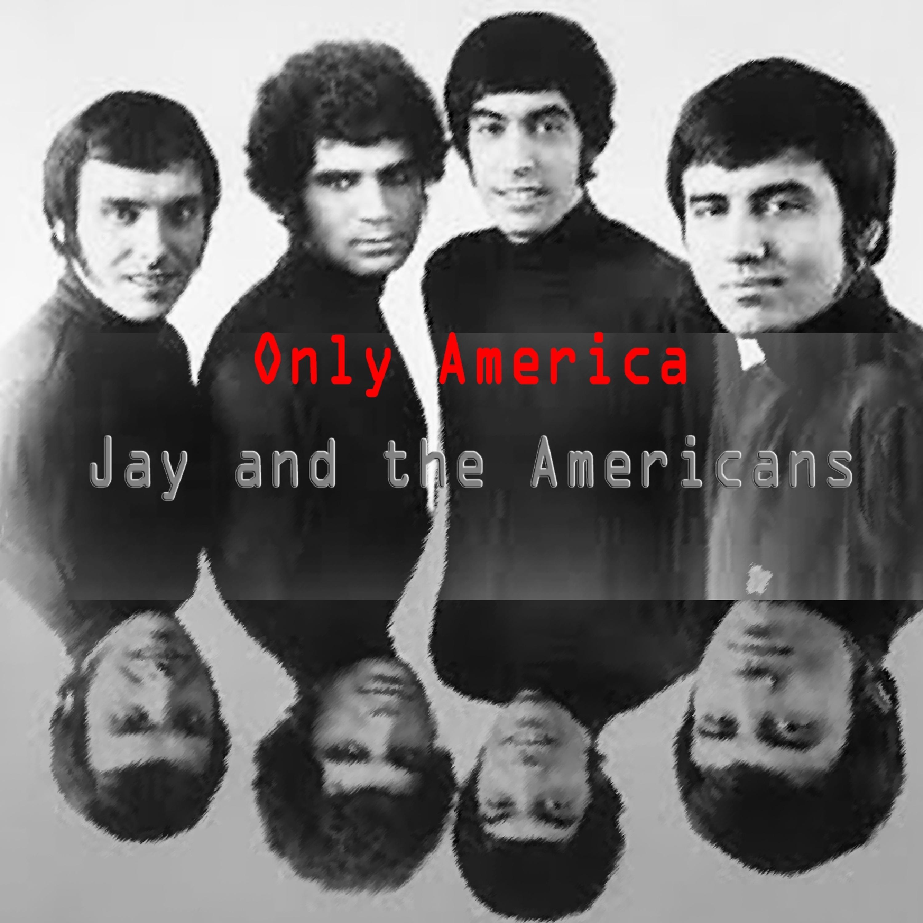 Постер альбома Only America