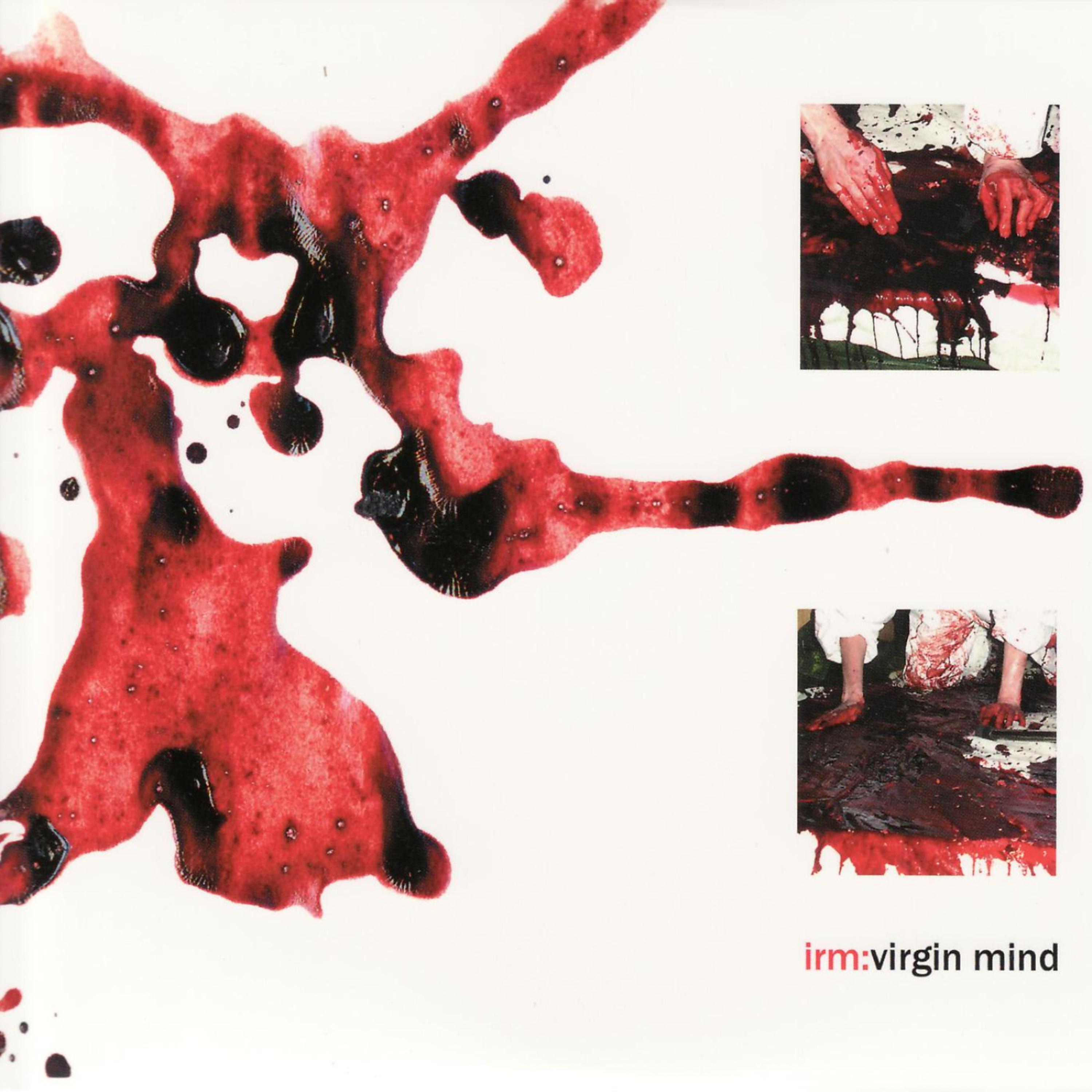 Постер альбома Virgin Mind