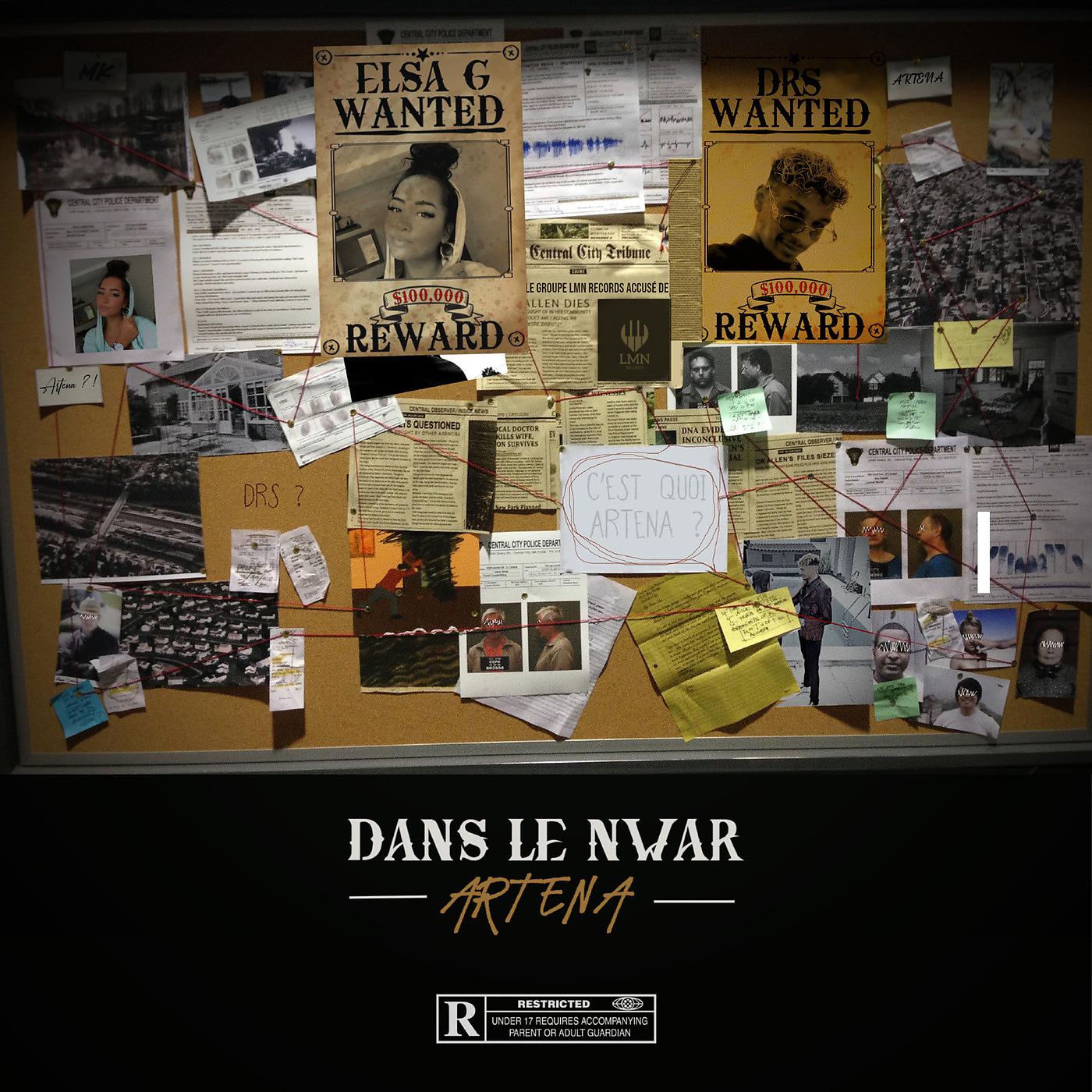 Постер альбома Dans le Newar