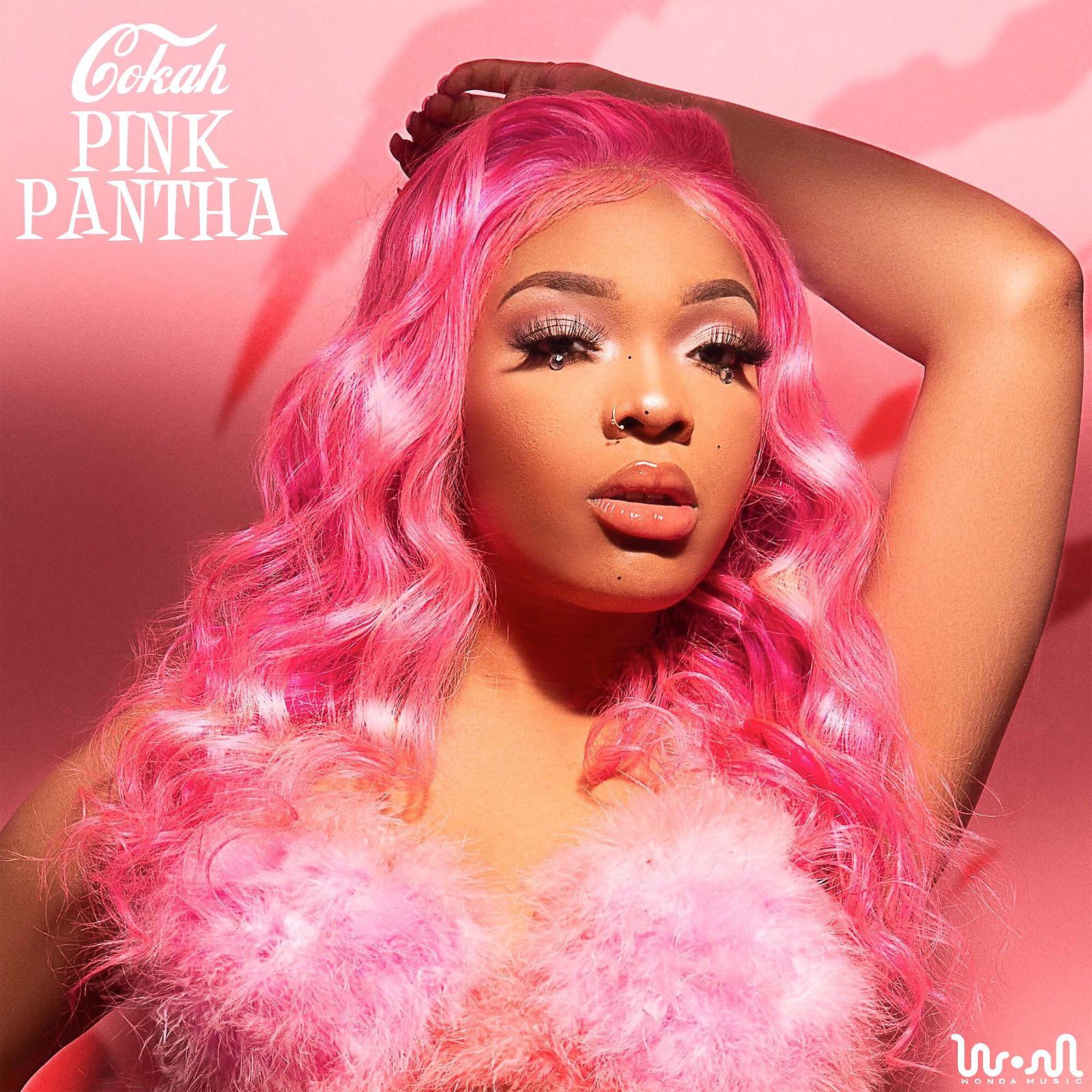 Постер альбома Pink Pantha