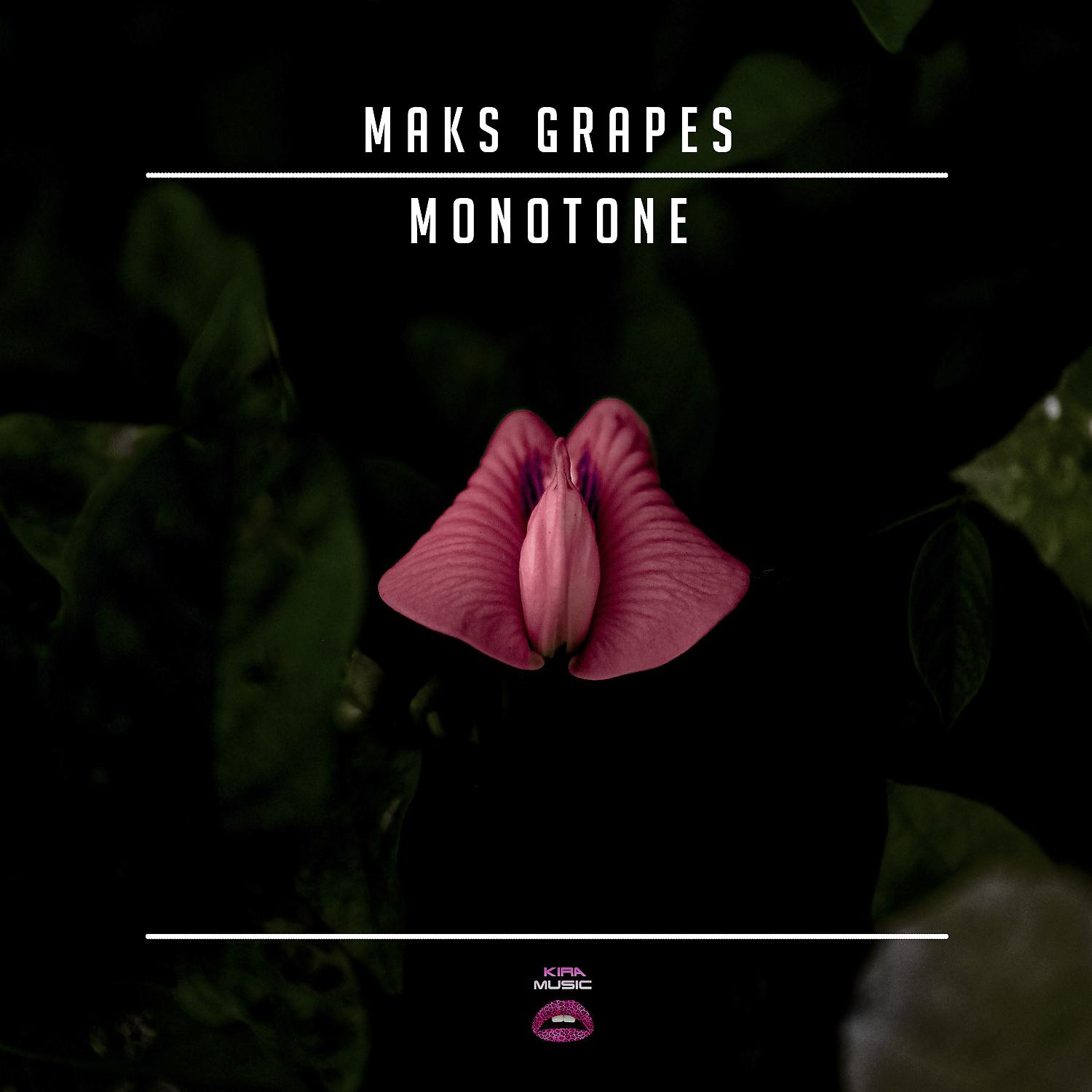 Постер альбома Monotone