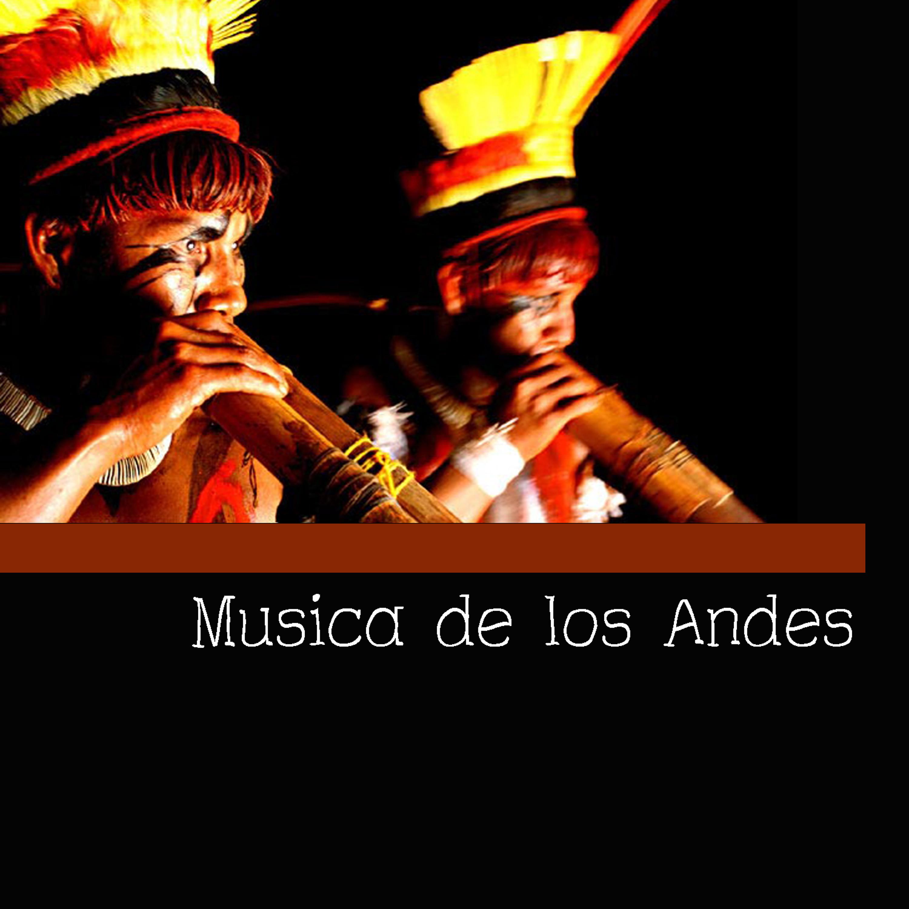 Постер альбома Musica de los Andes