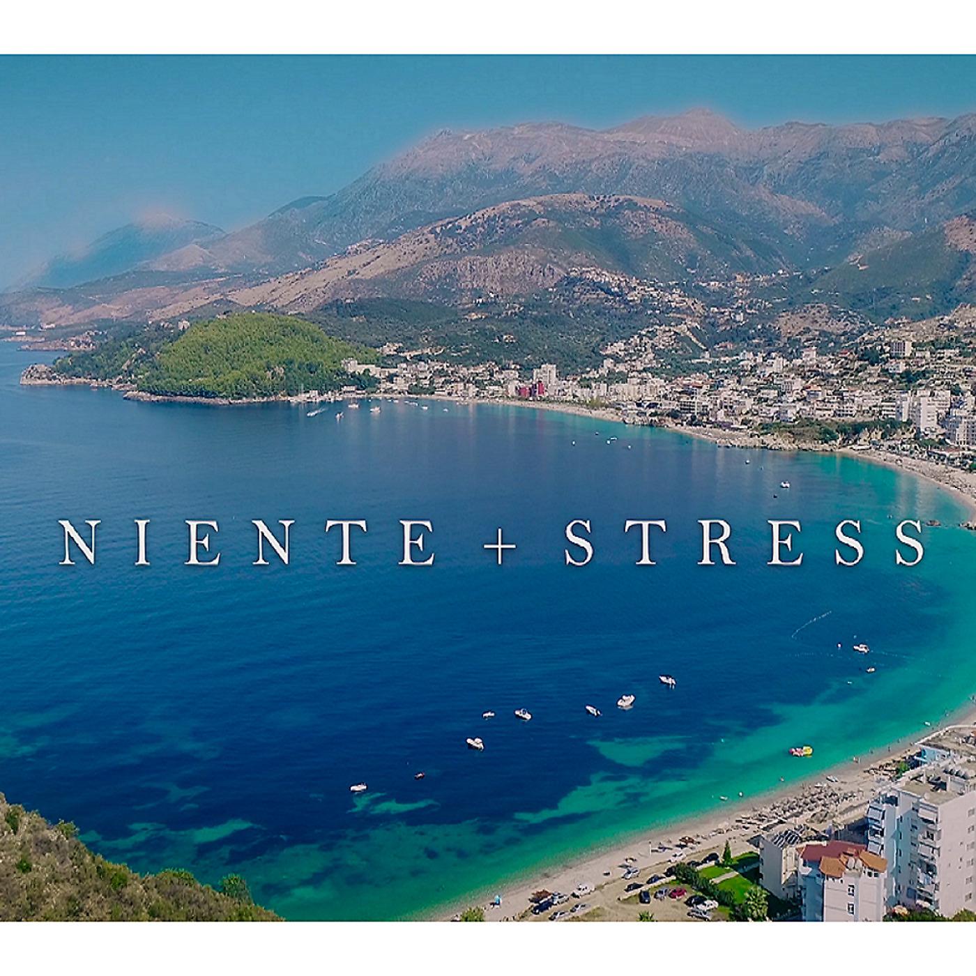 Постер альбома NIENTE + STRESS