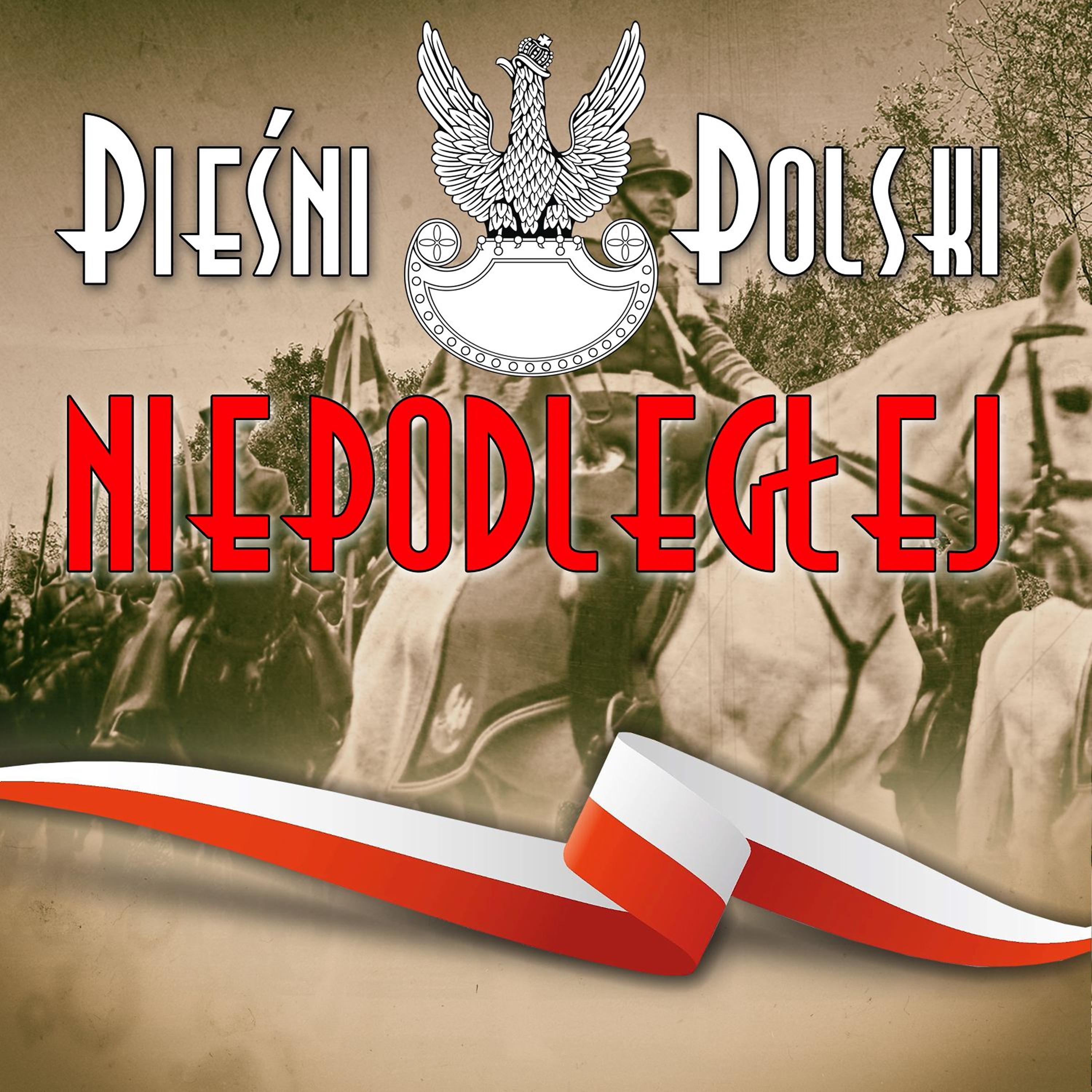 Постер альбома Pieśni Polski Niepodległej