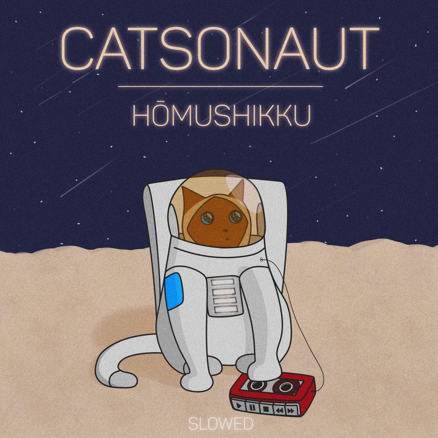 Постер альбома Hōmushikku (slowed)