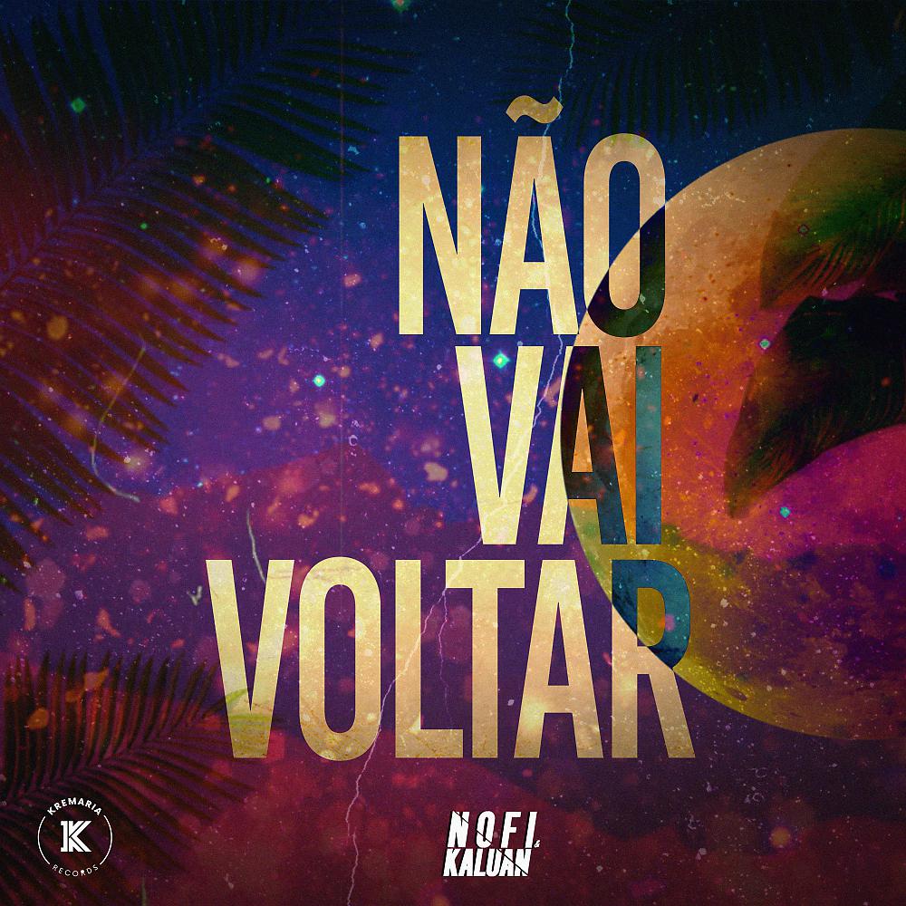 Постер альбома Não Vai Voltar