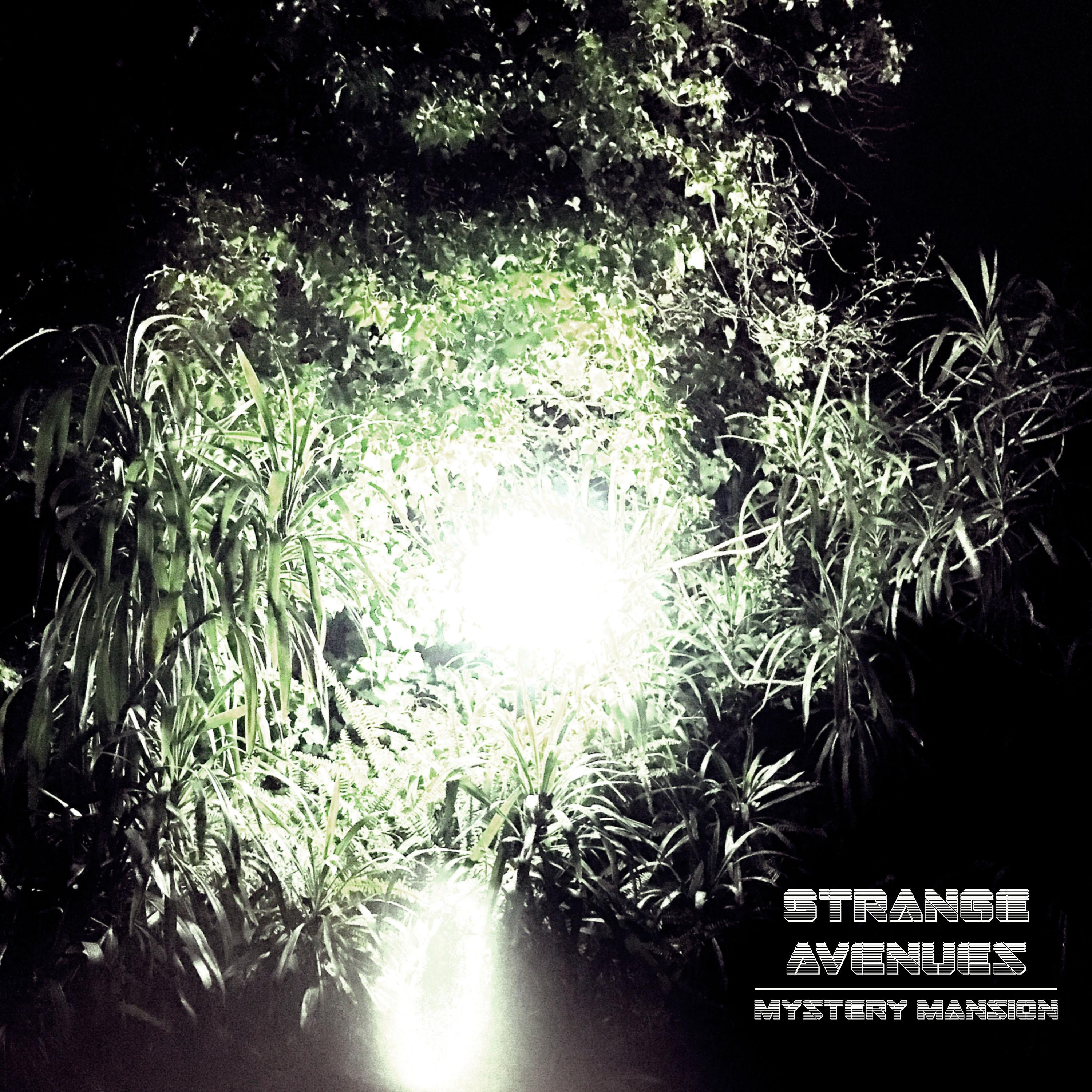 Постер альбома Strange Avenues